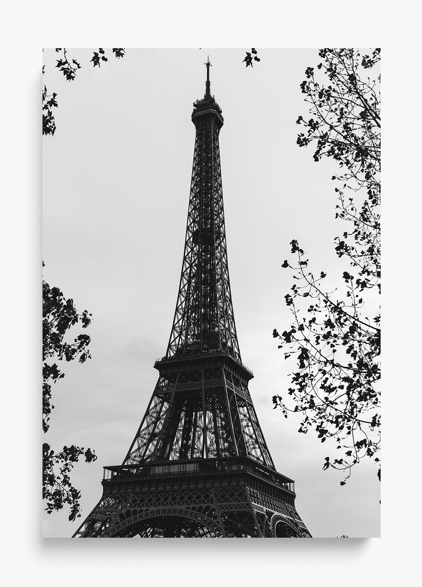 My Paree