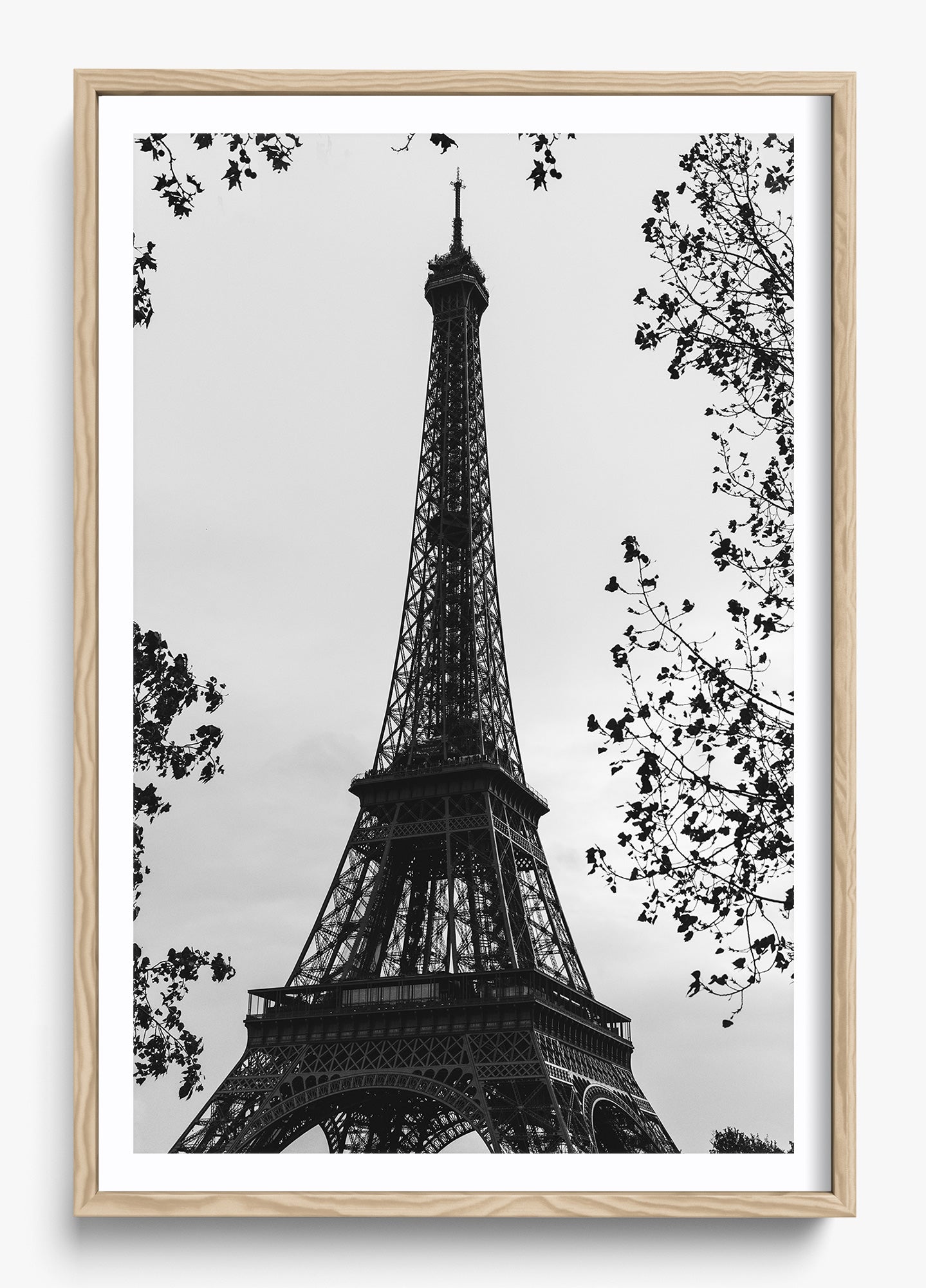 My Paree