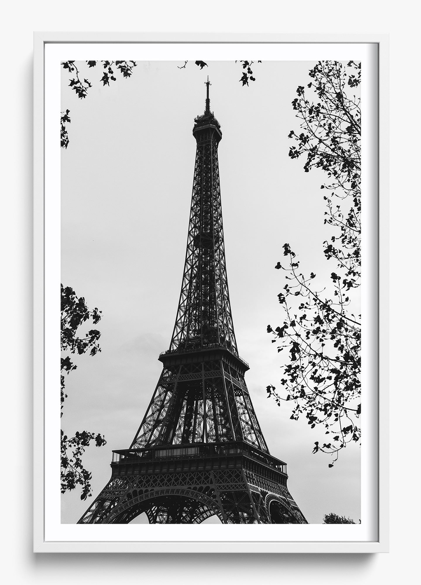 My Paree