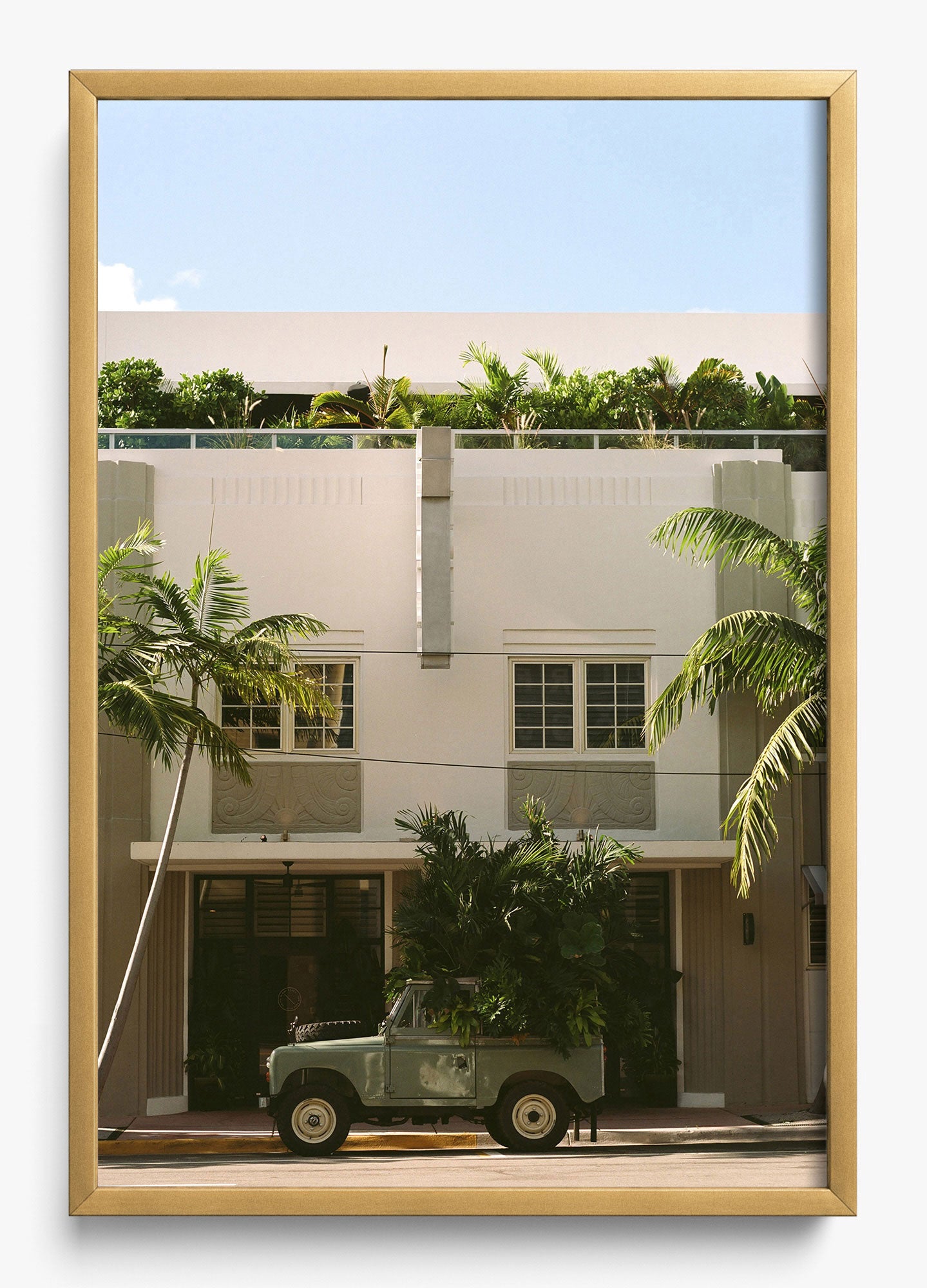 Palm Place