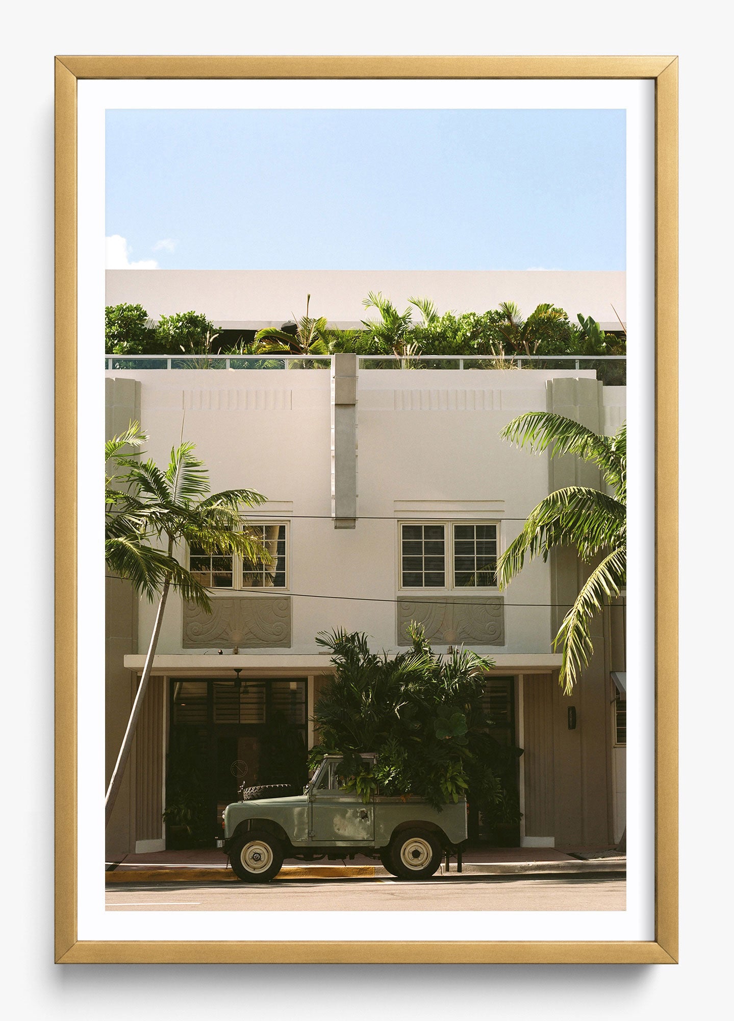 Palm Place