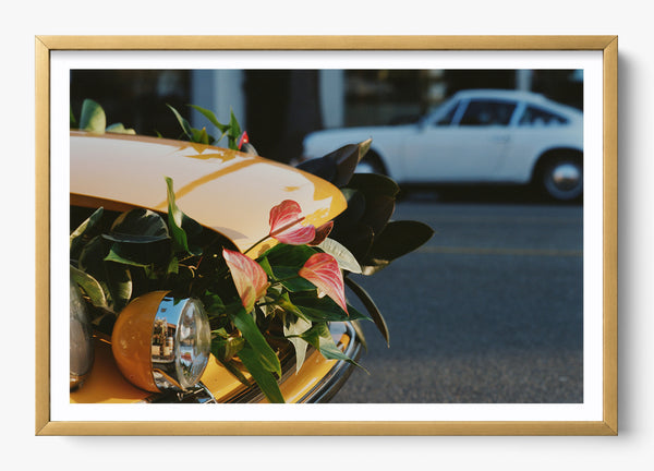 Petal To The Metal in a Gold frame