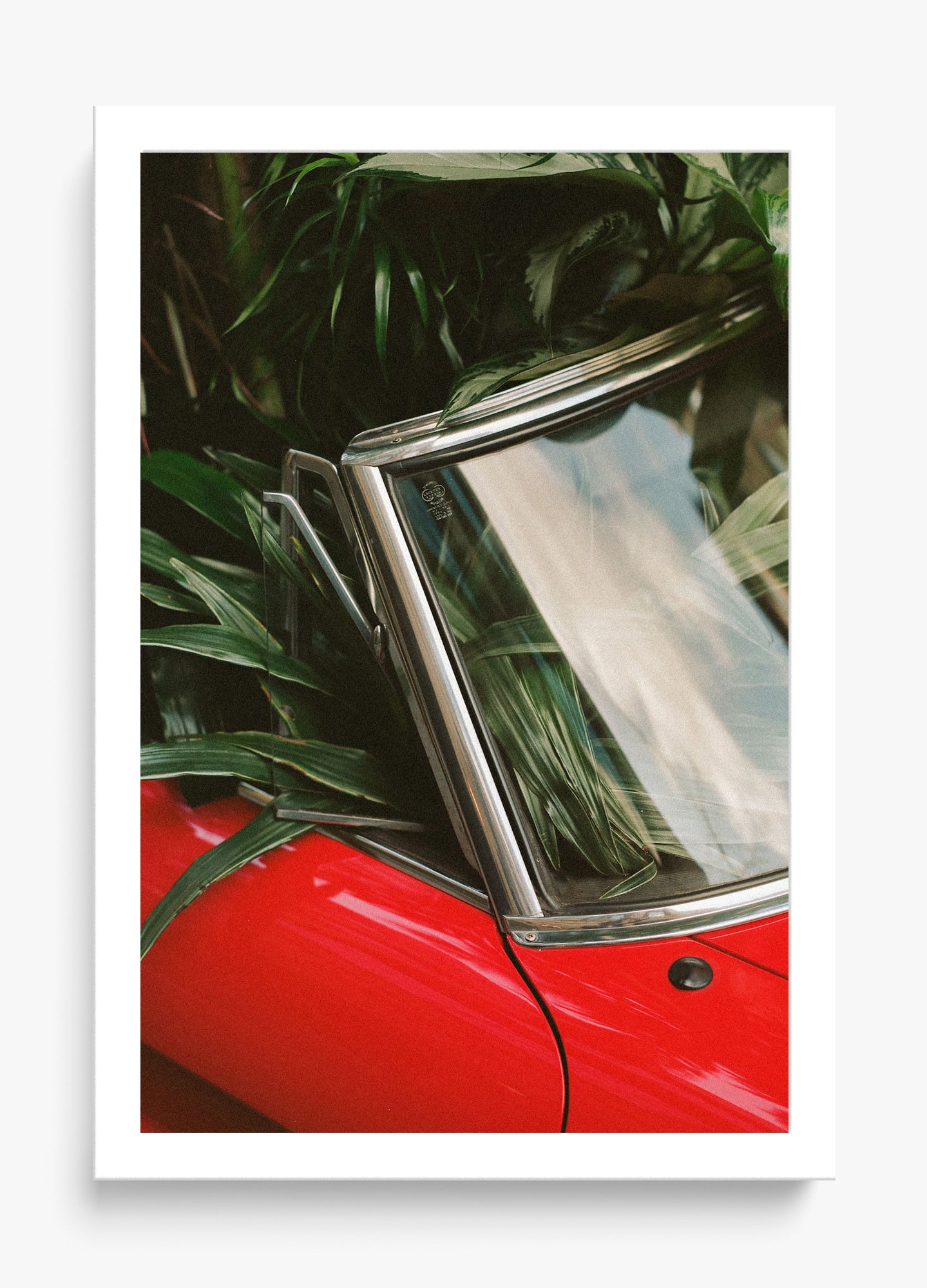 Planted Duetto Unframed