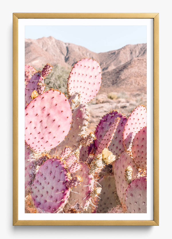 Prickly Pear in a Gold frame