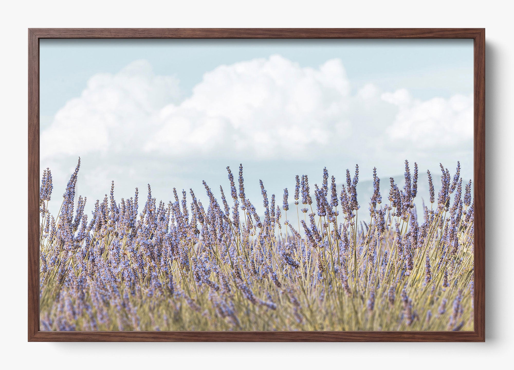Provence