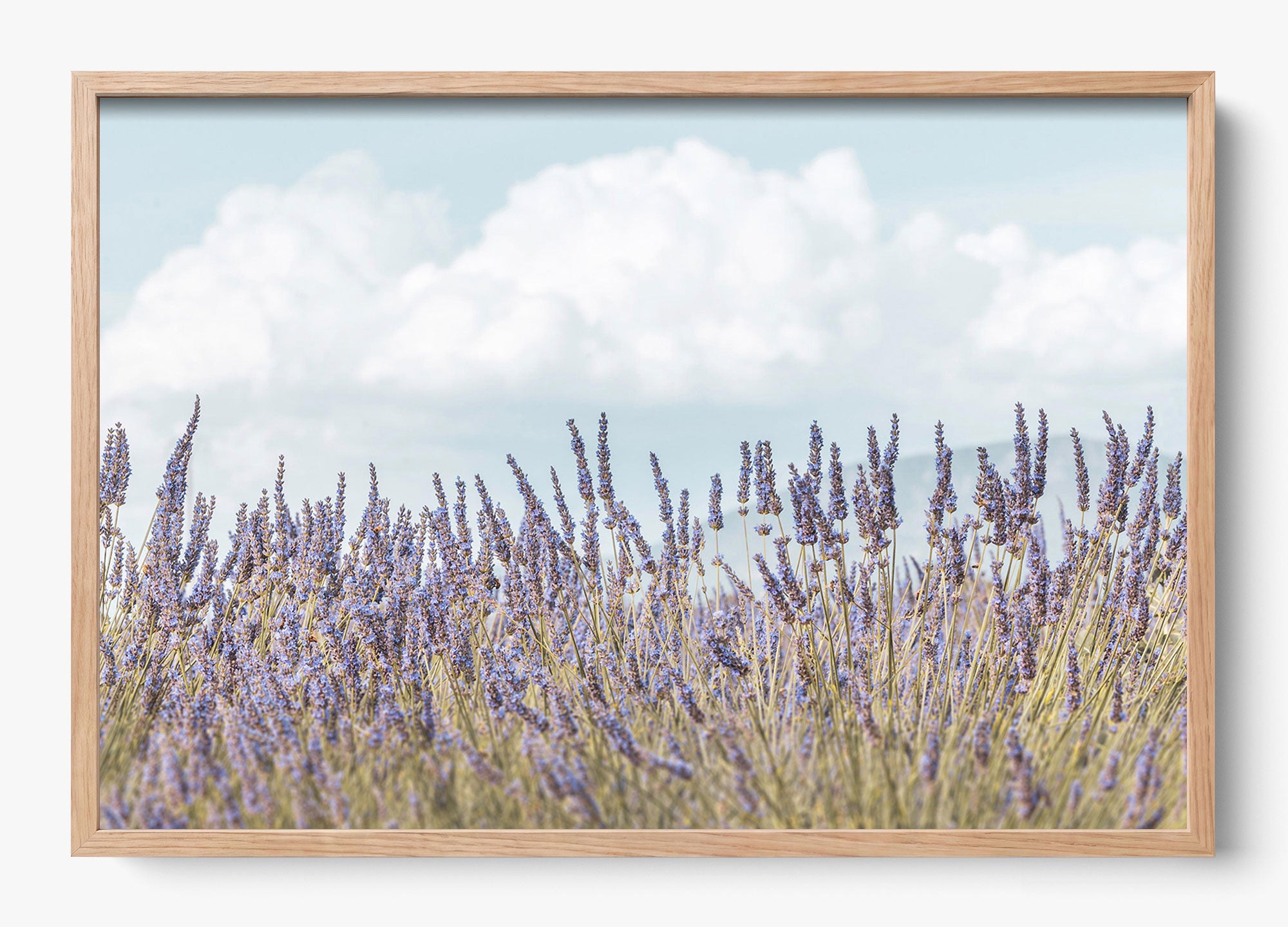 Provence