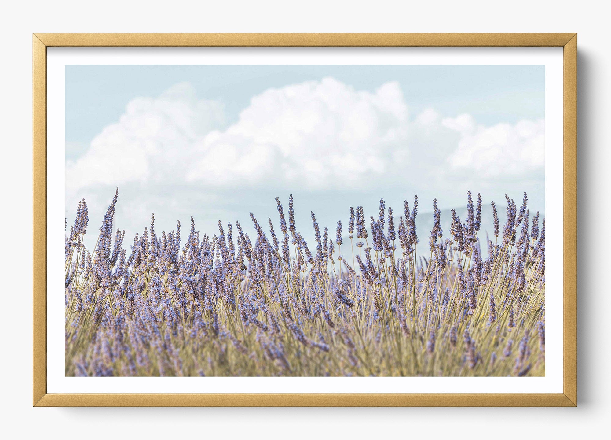 Provence