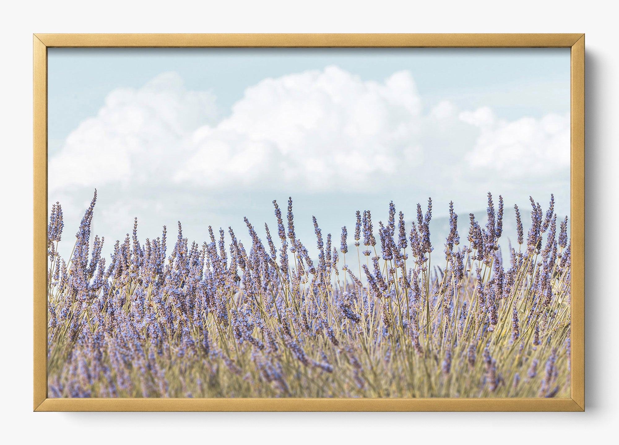 Provence