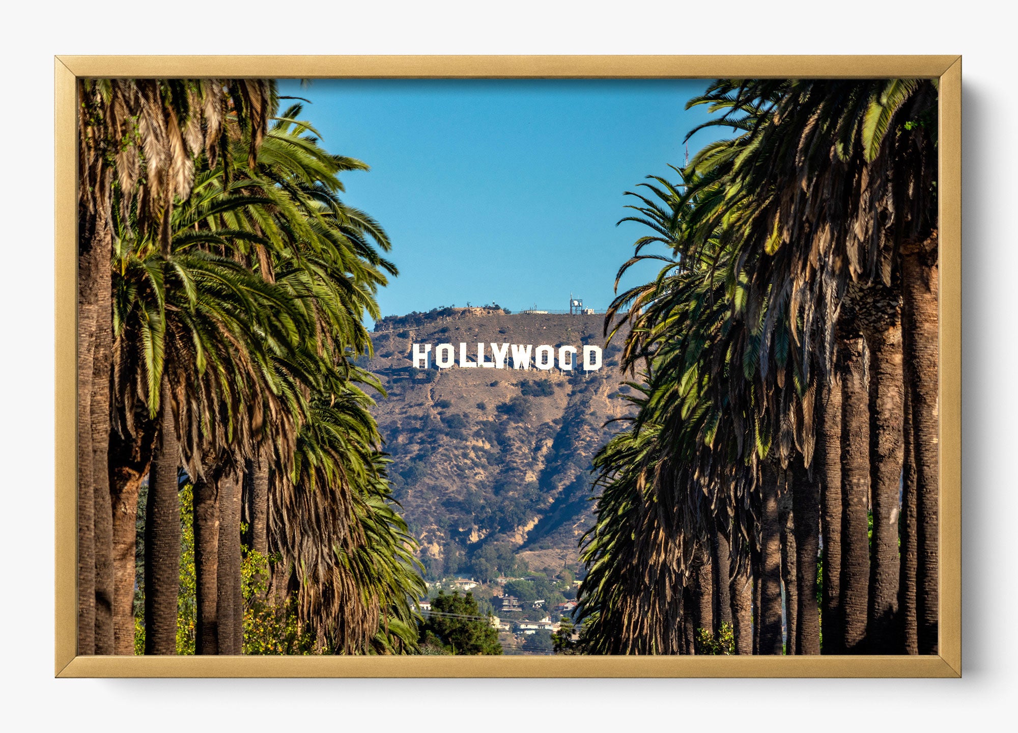 Road To Hollywood