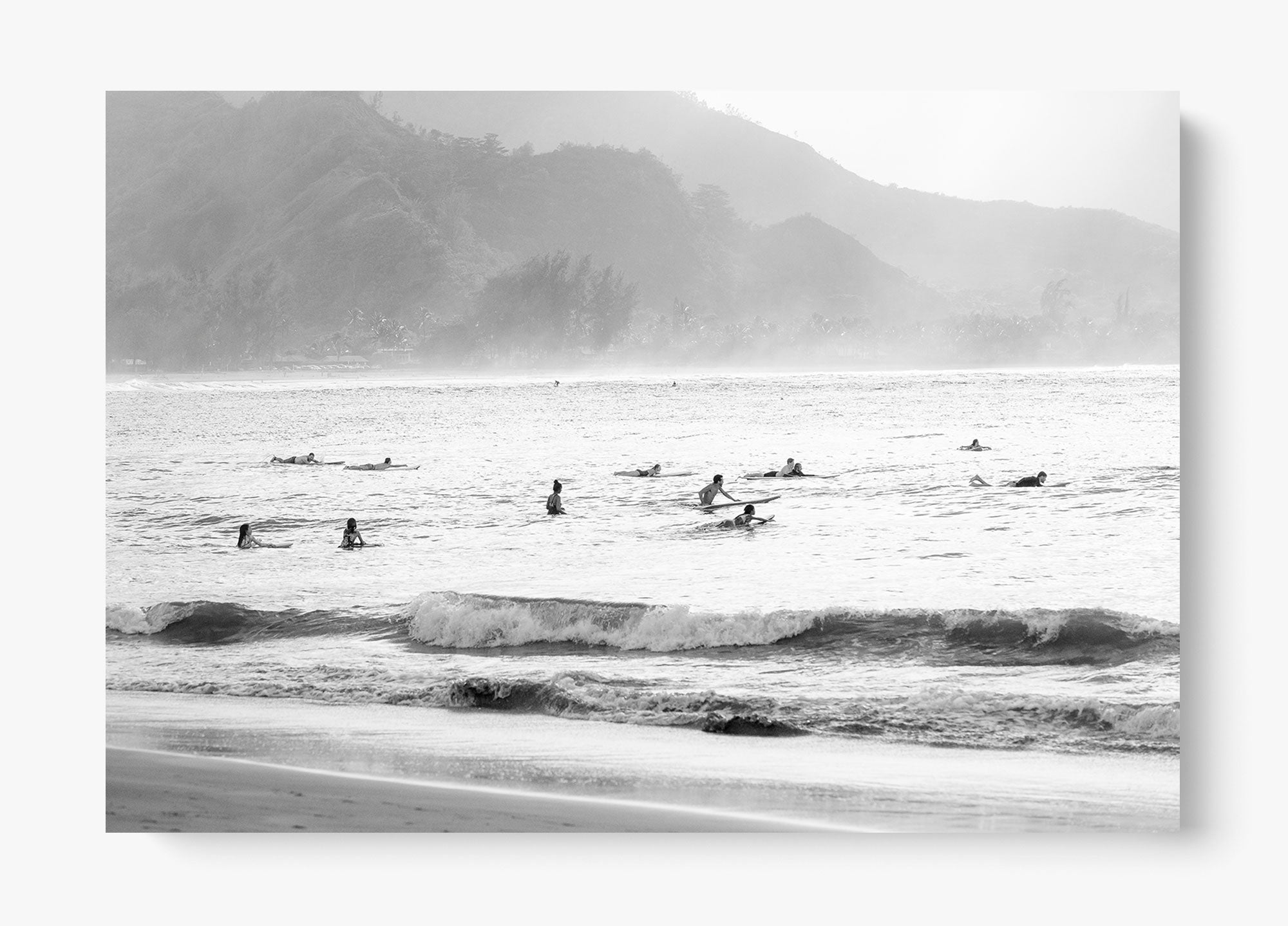 Surf's Up Hawaii