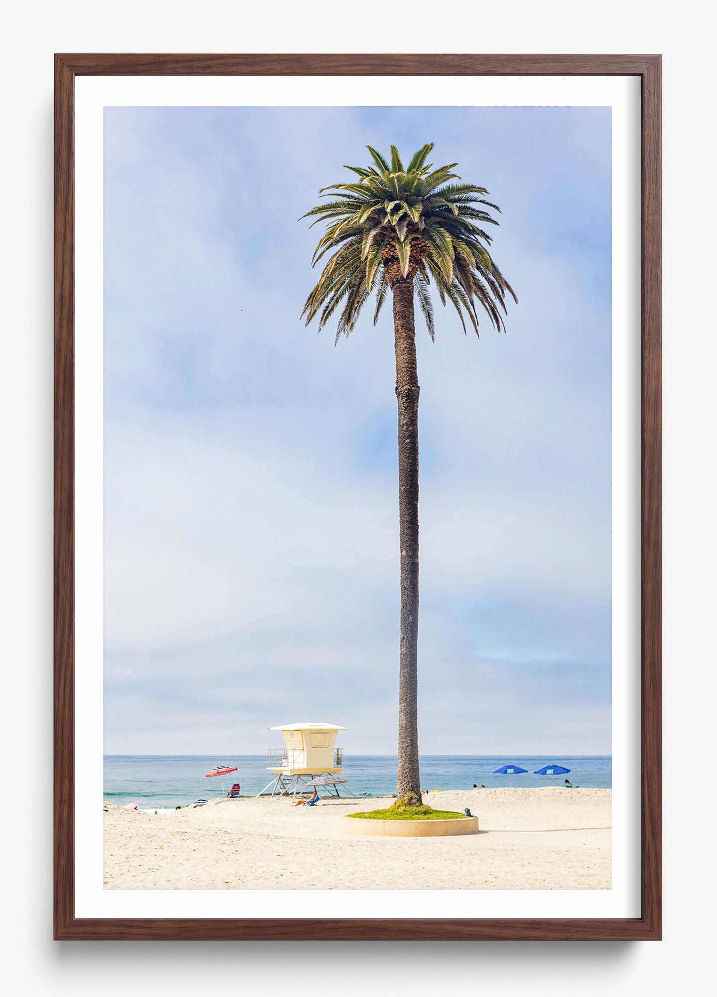 San Diego Palms