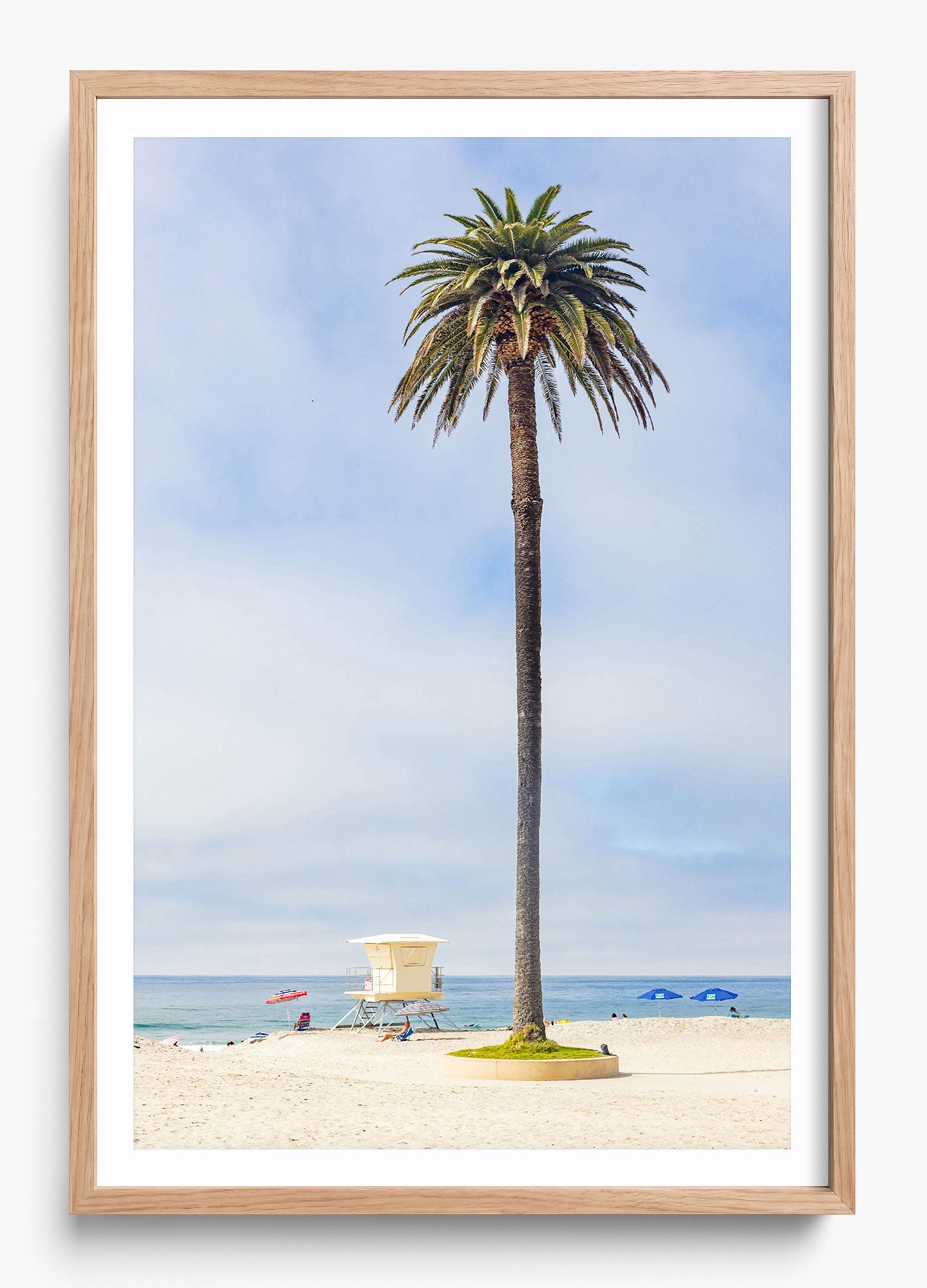San Diego Palms