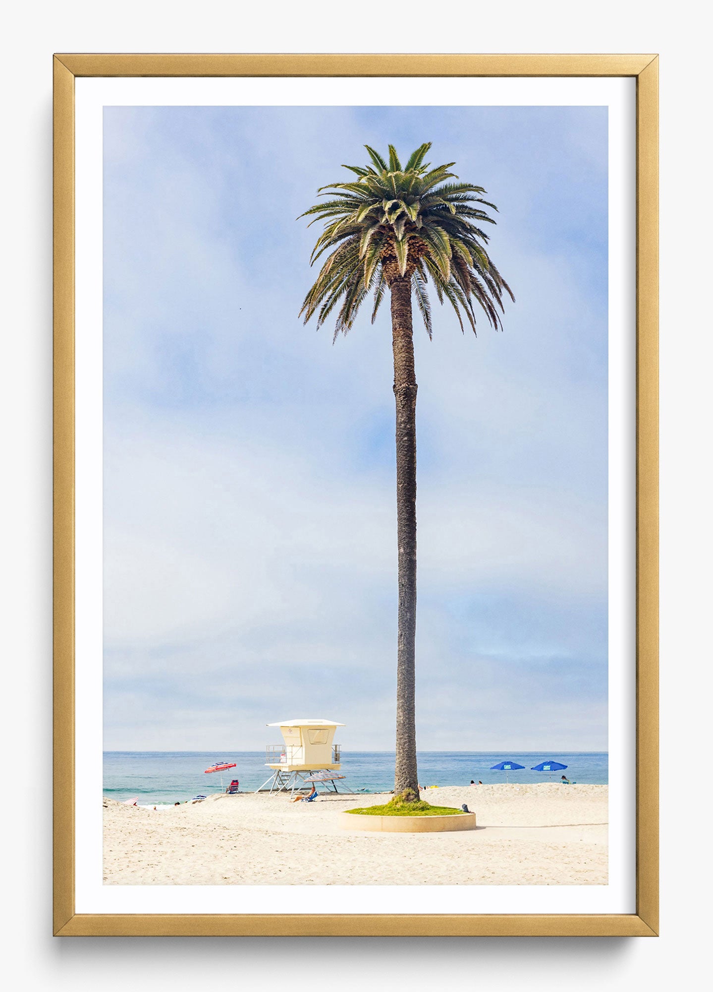 San Diego Palms