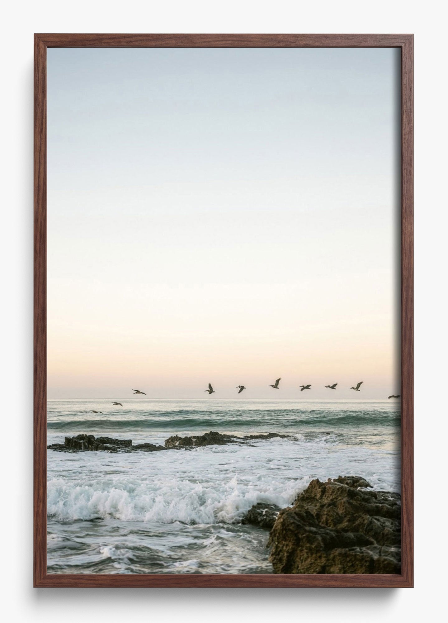 Santa Teresa Mornings
