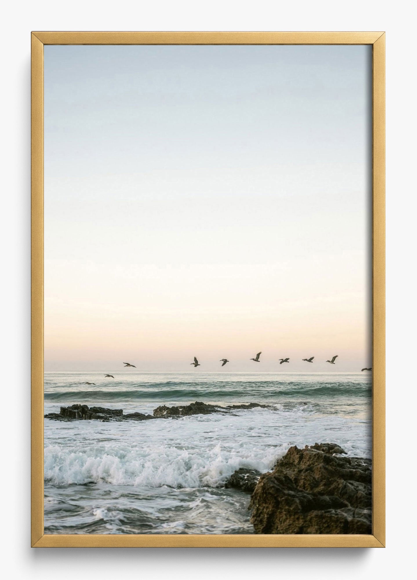 Santa Teresa Mornings