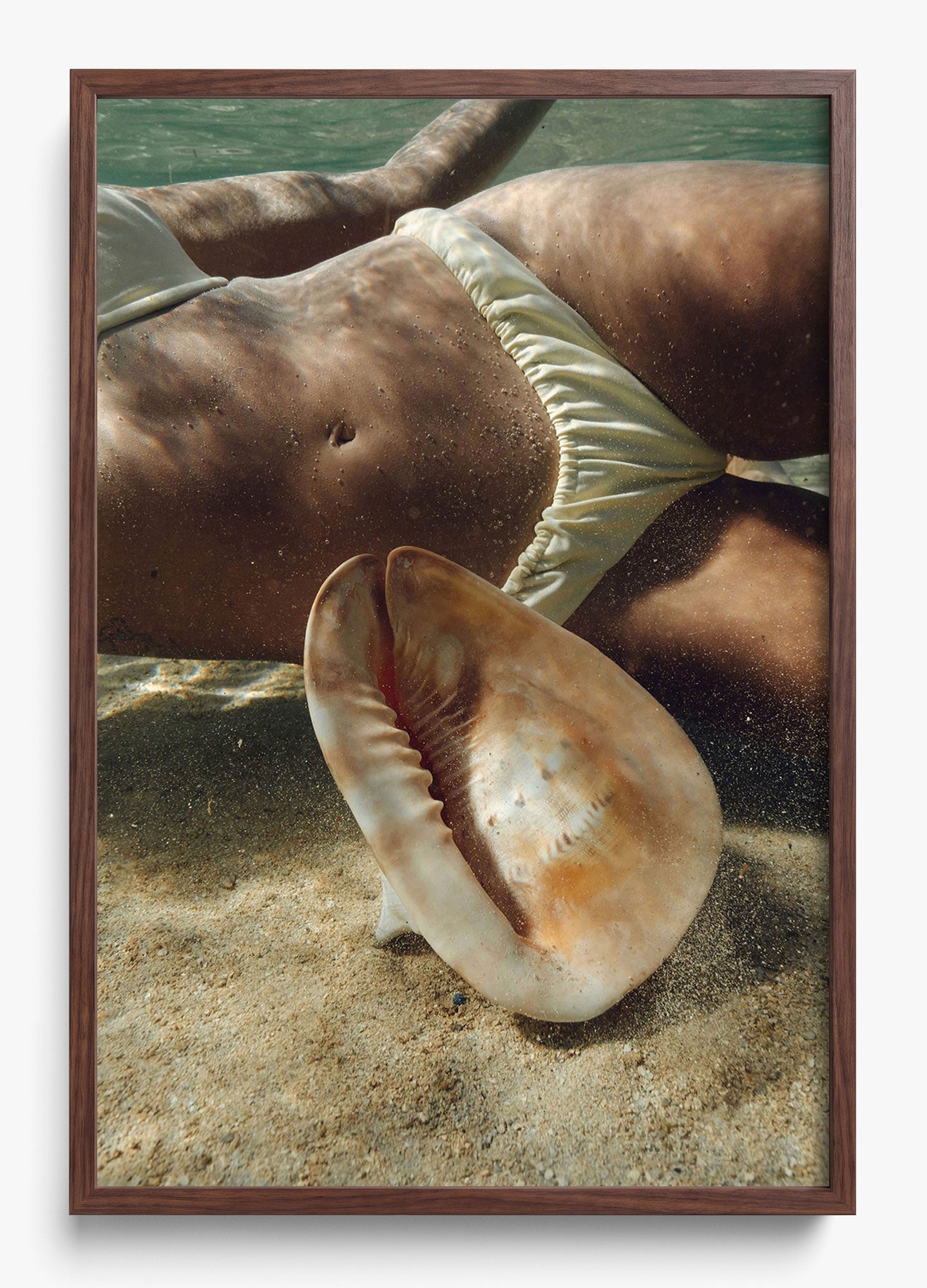 Sea Dweller