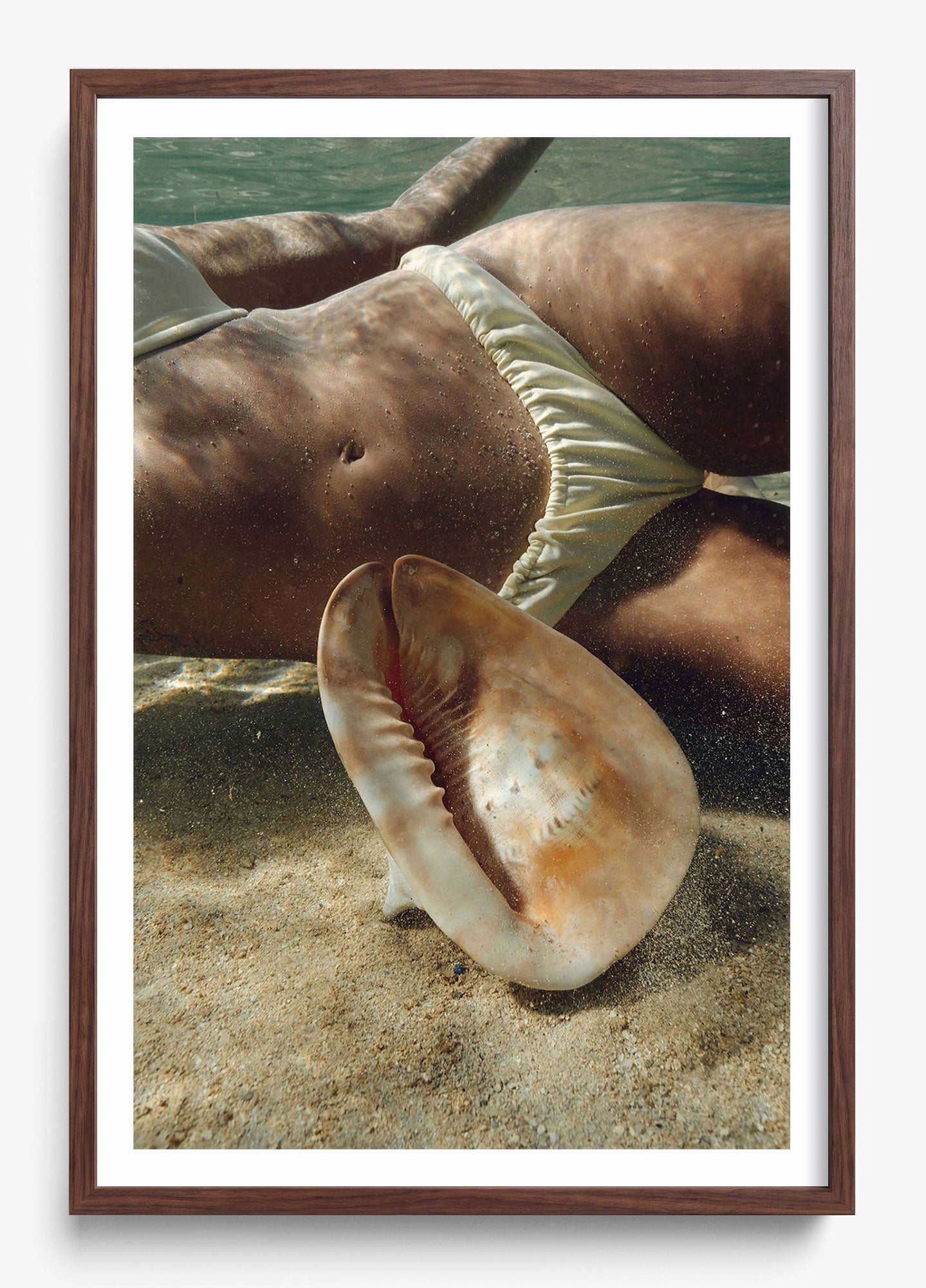 Sea Dweller