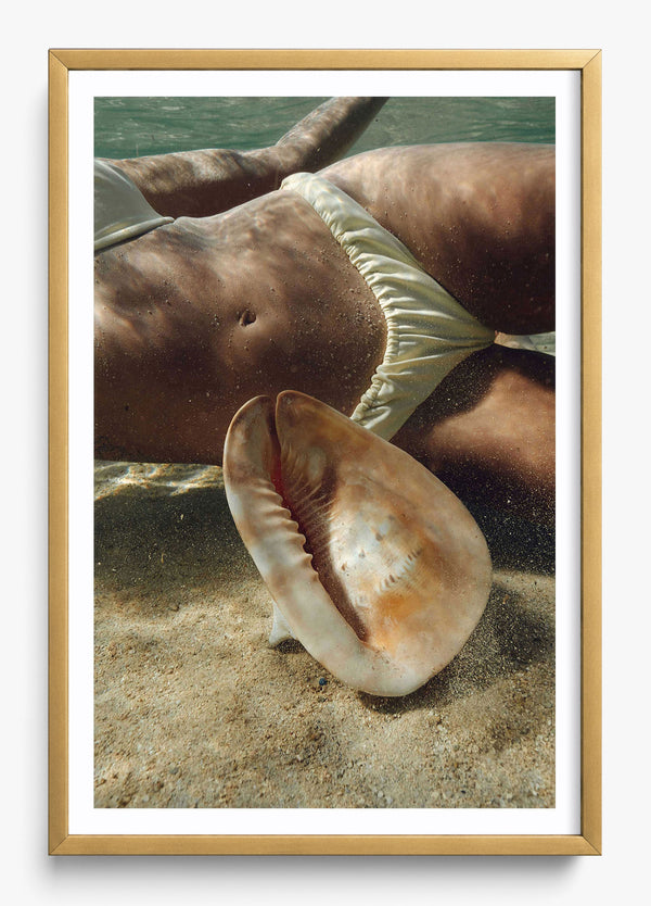 Sea Dweller in a Gold frame