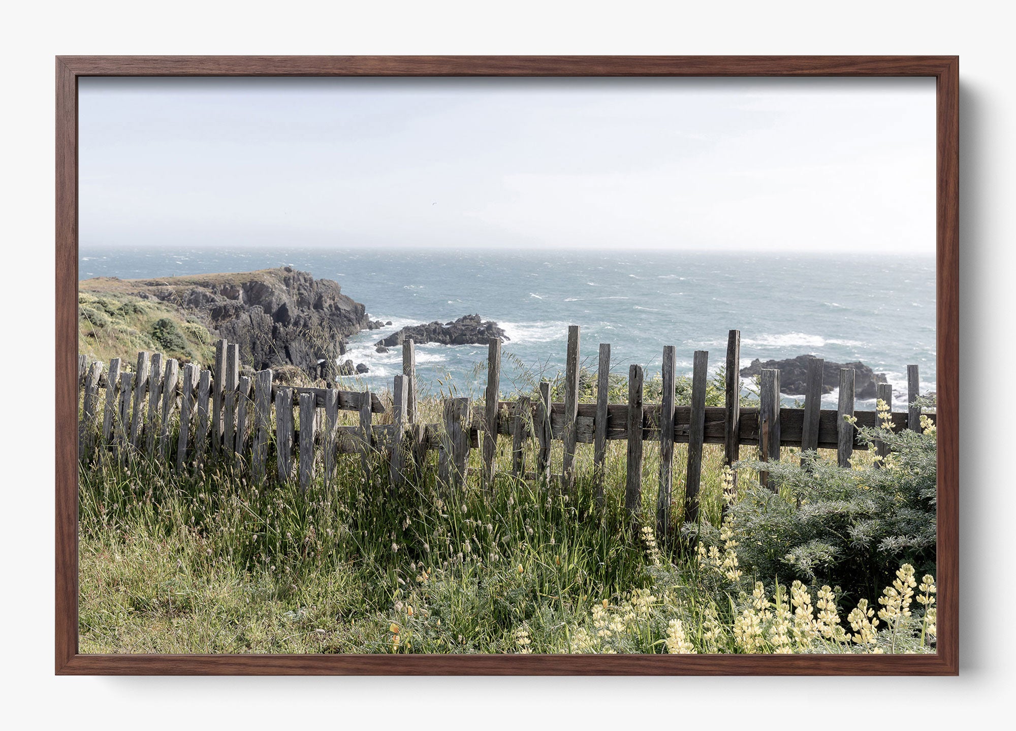 Sea Ranch