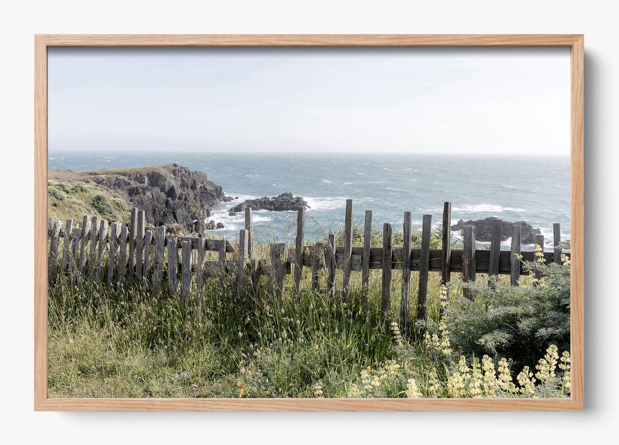 Sea Ranch