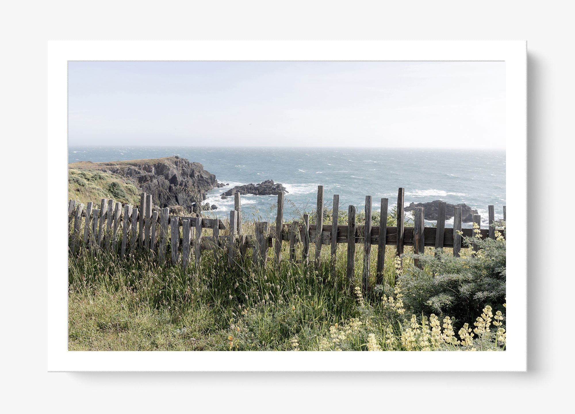 Sea Ranch