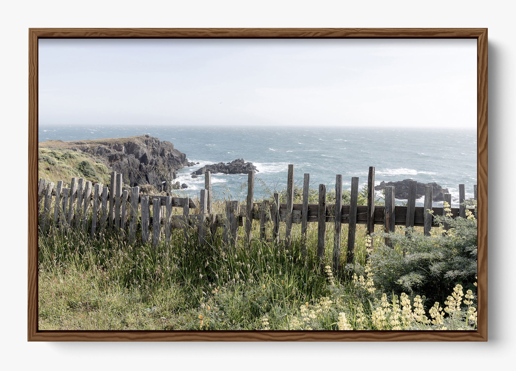 Sea Ranch