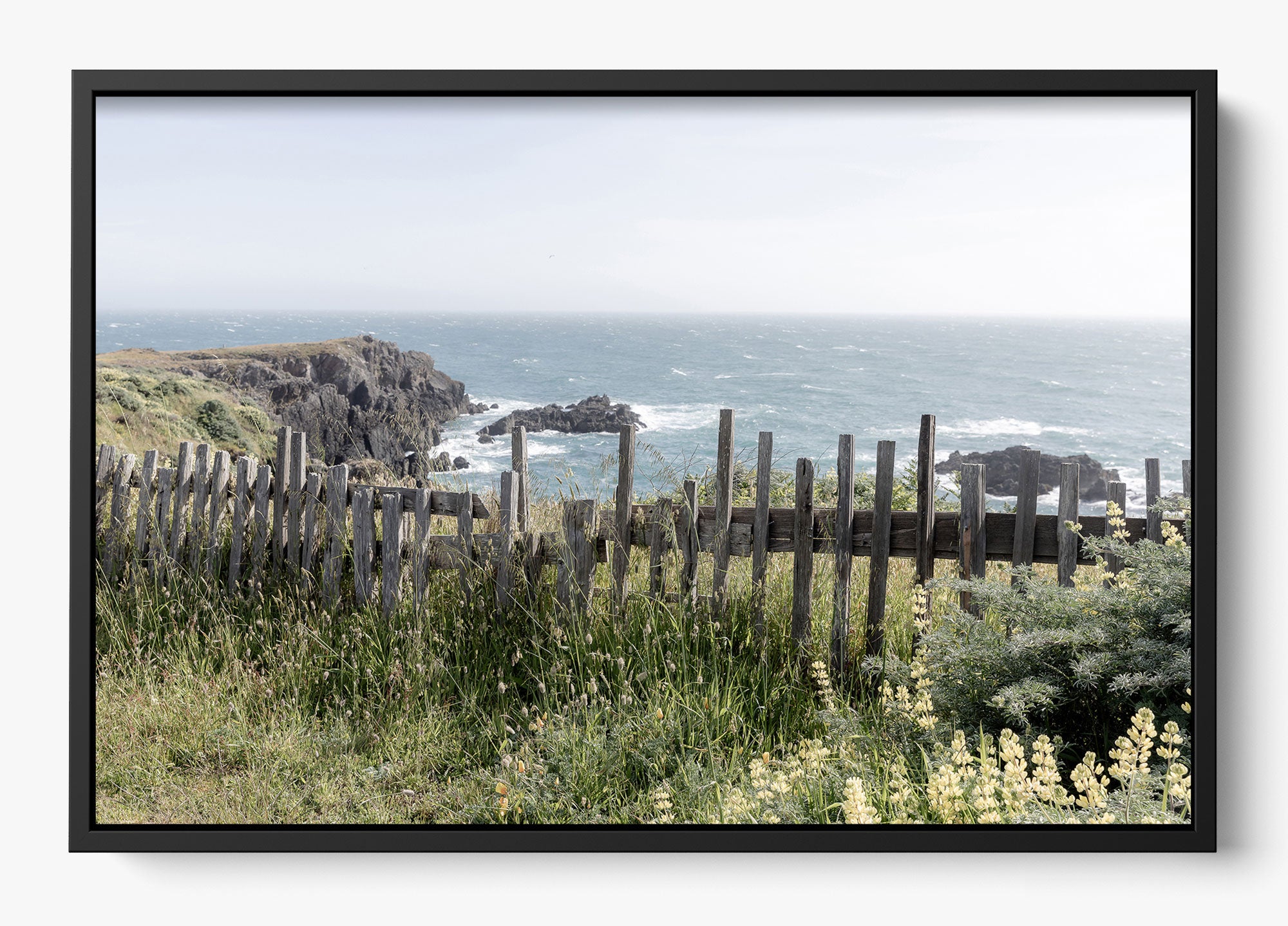 Sea Ranch