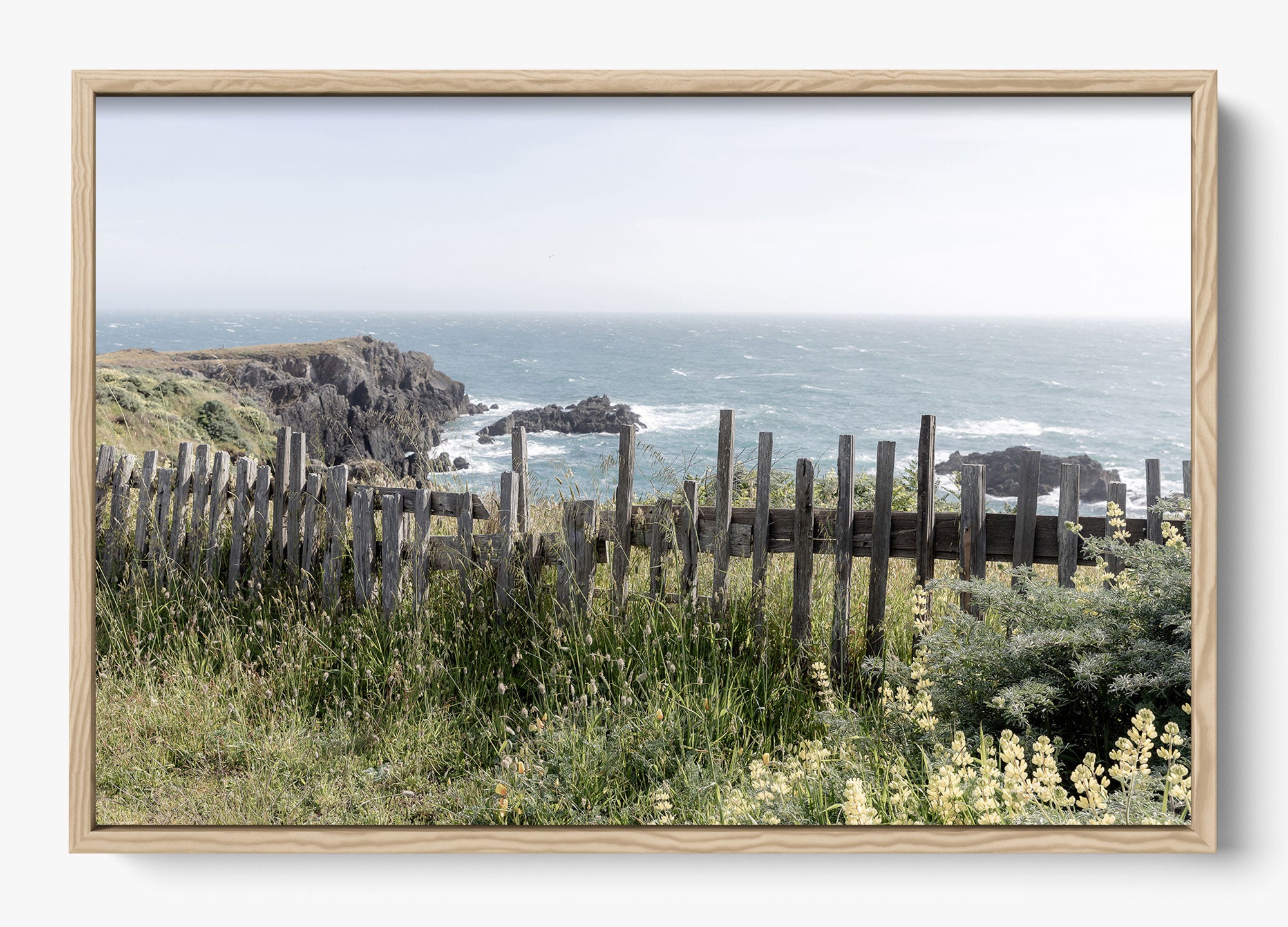 Sea Ranch