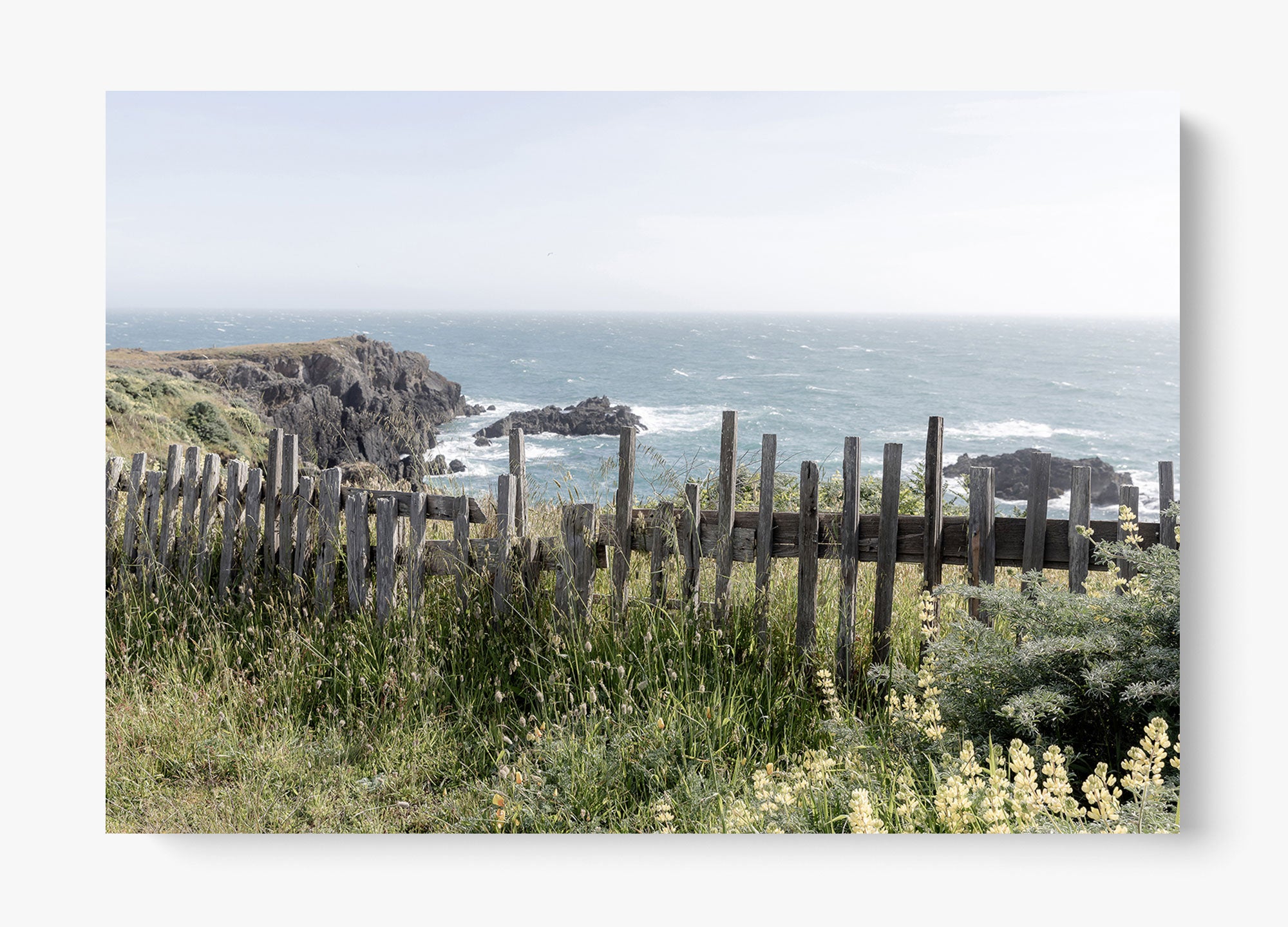 Sea Ranch