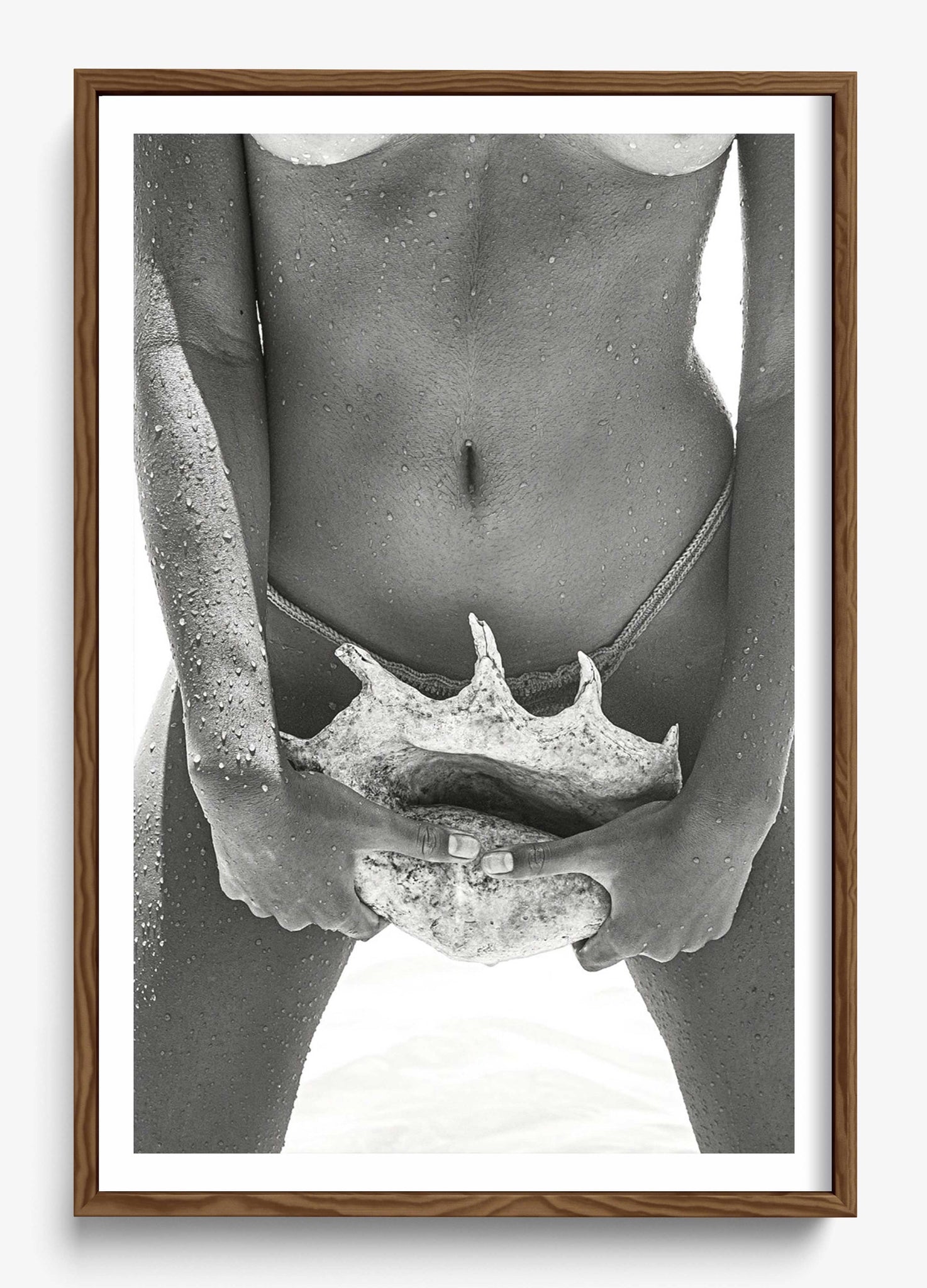 Her Seashell