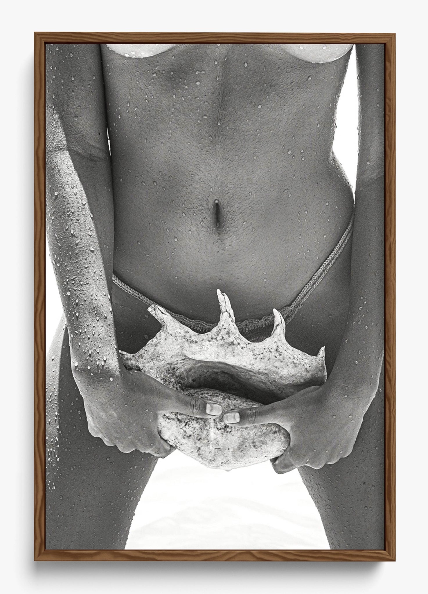 Her Seashell