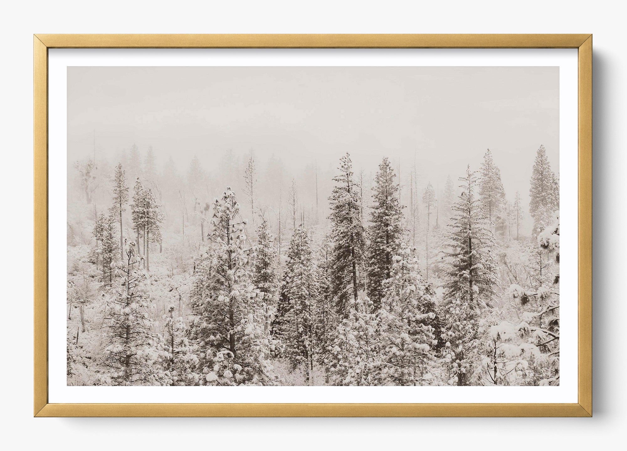 Snowfall In Yosemite