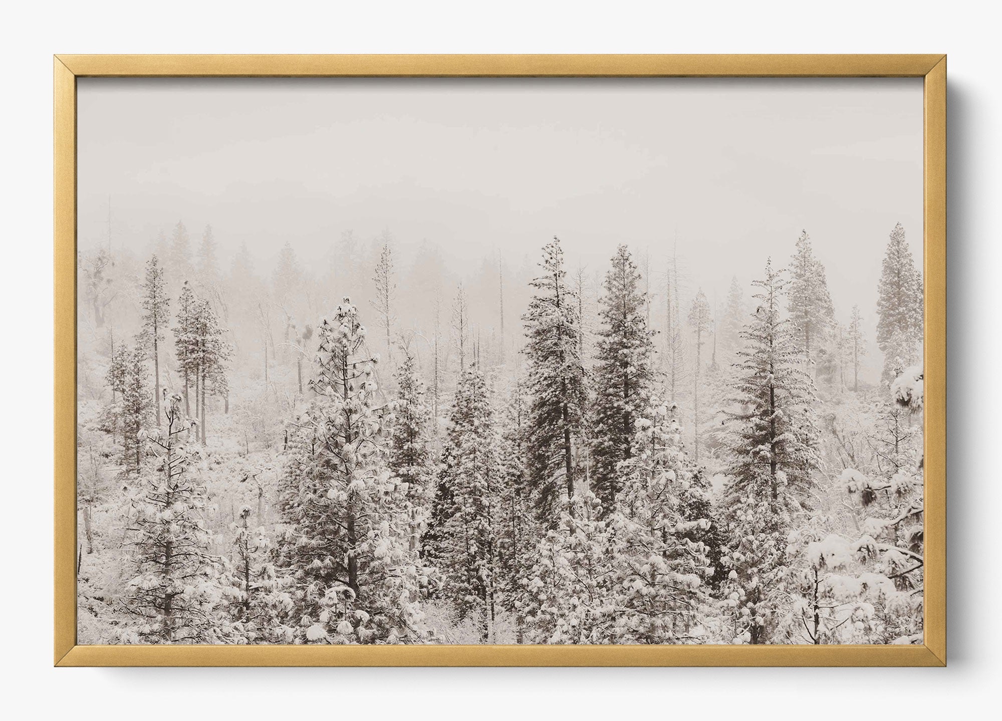 Snowfall In Yosemite