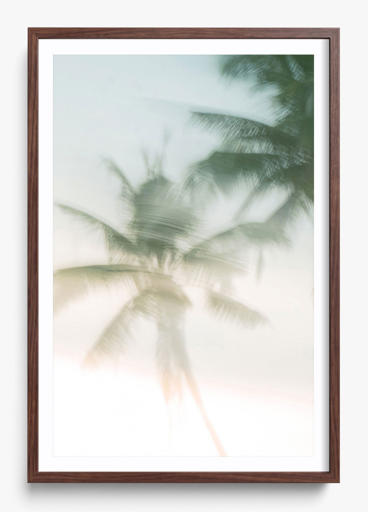Sri Lankan Serenity