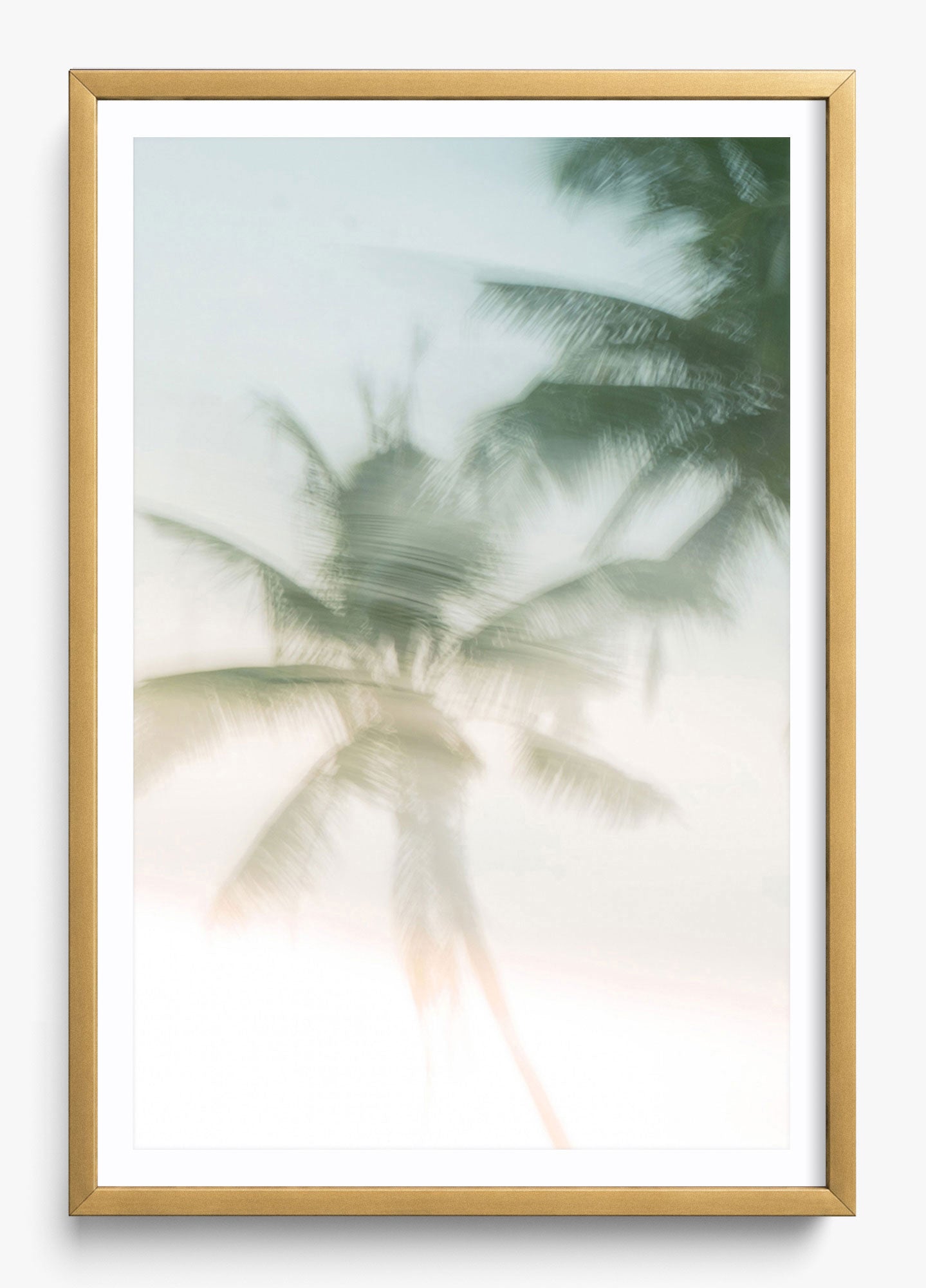 Sri Lankan Serenity
