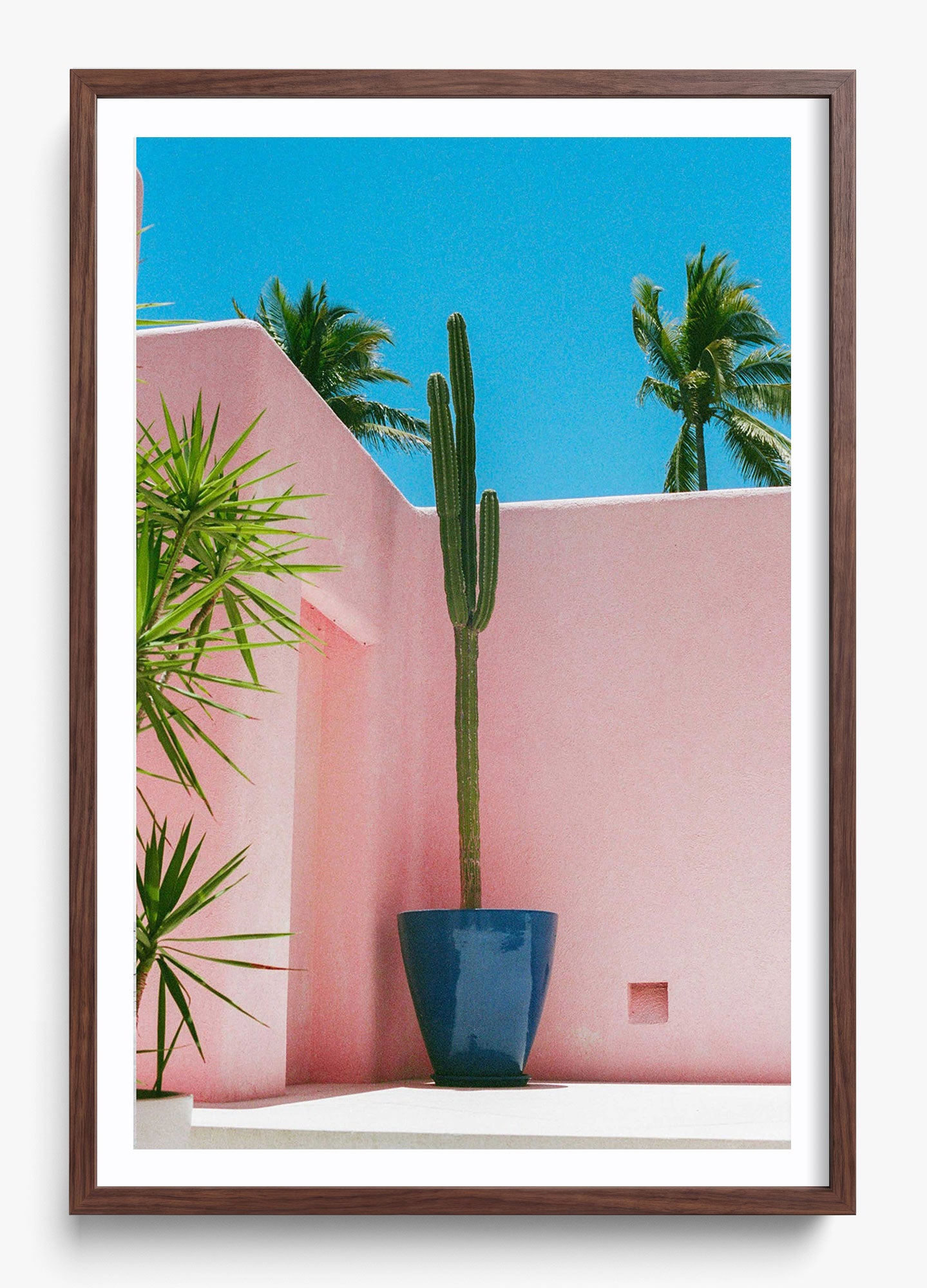 Summer In Pink