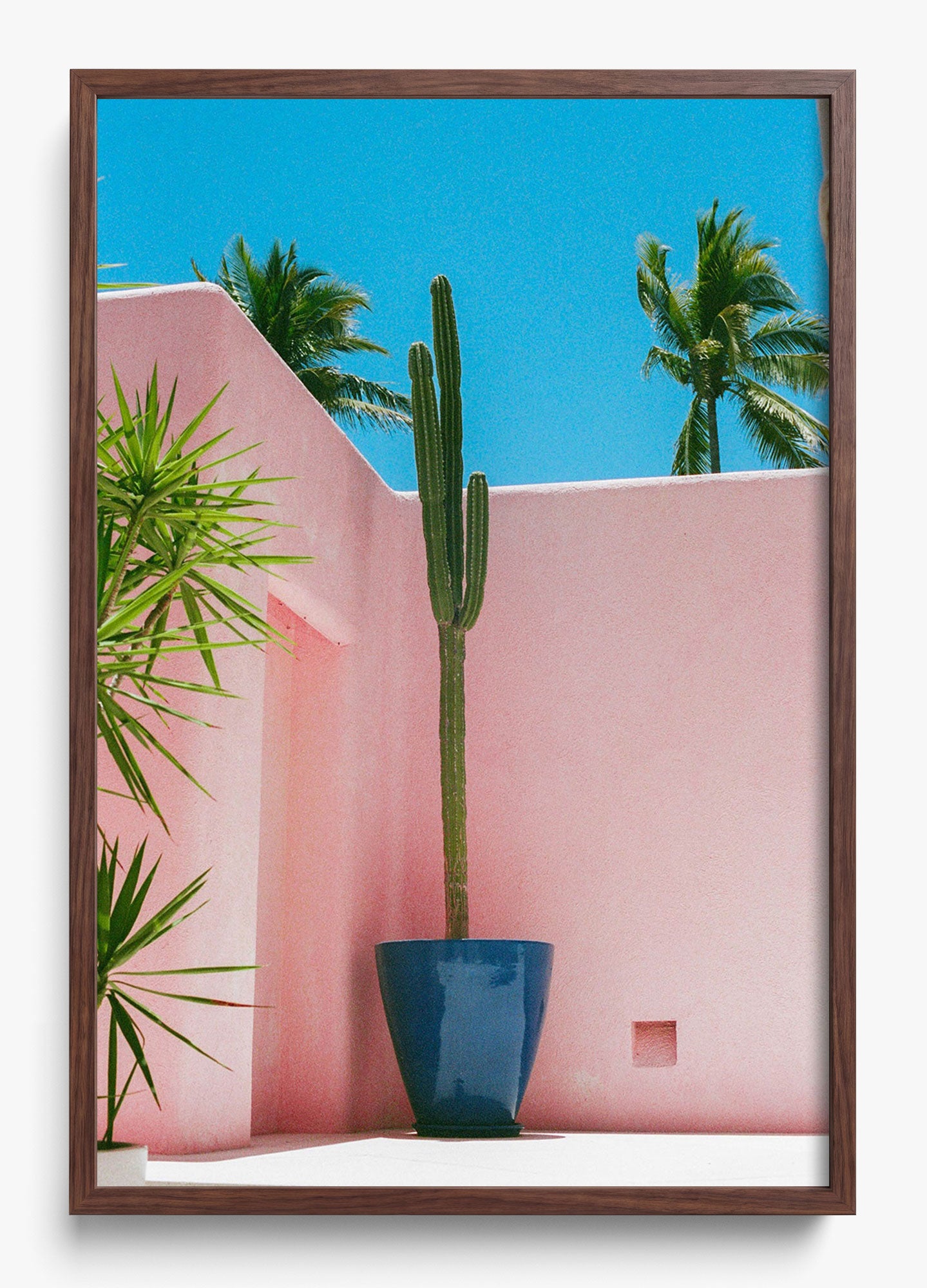 Summer In Pink
