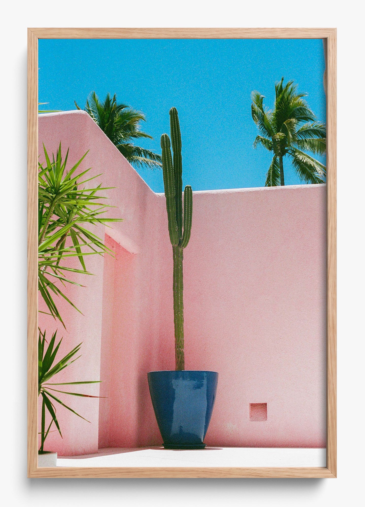 Summer In Pink