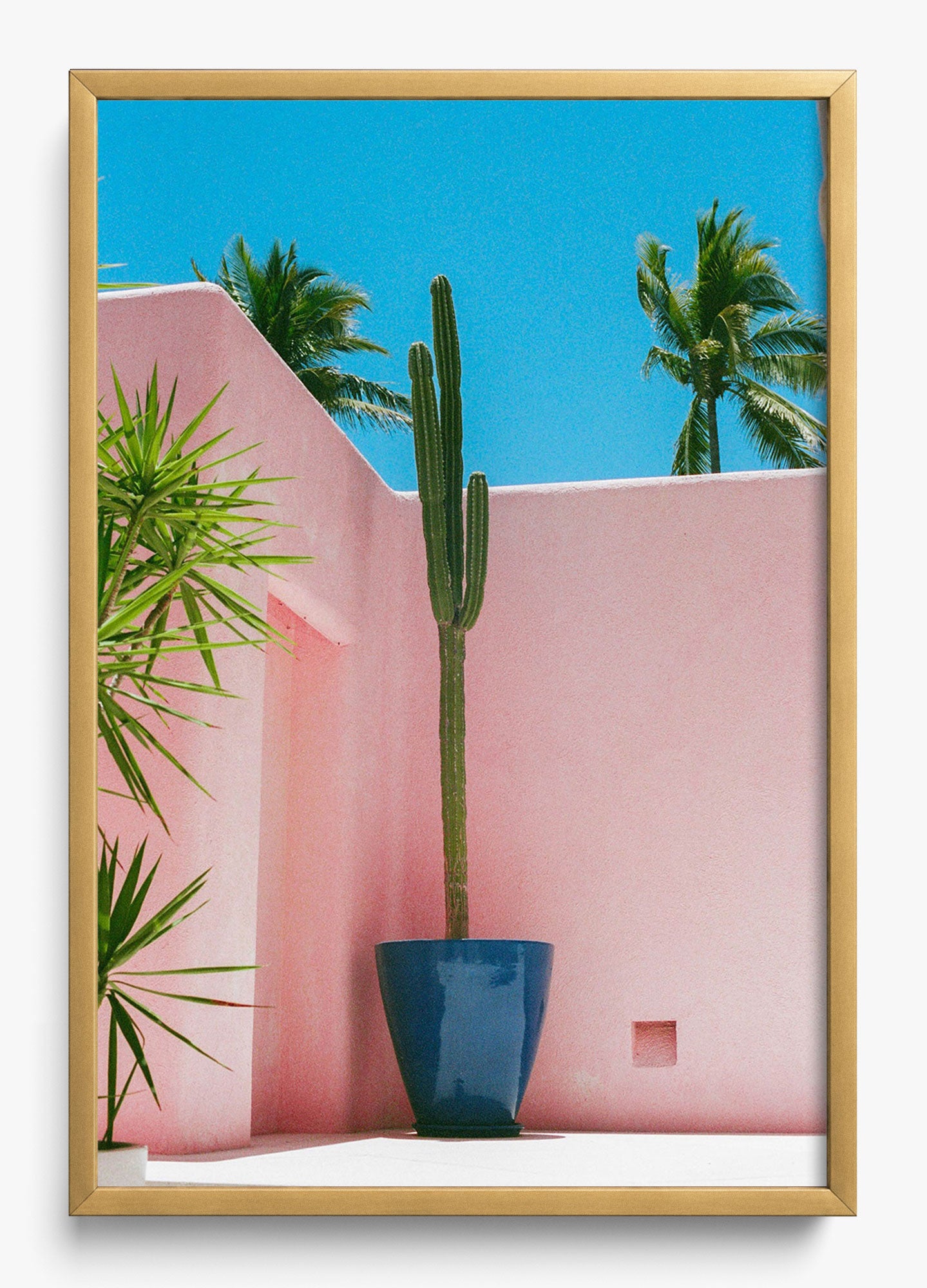 Summer In Pink