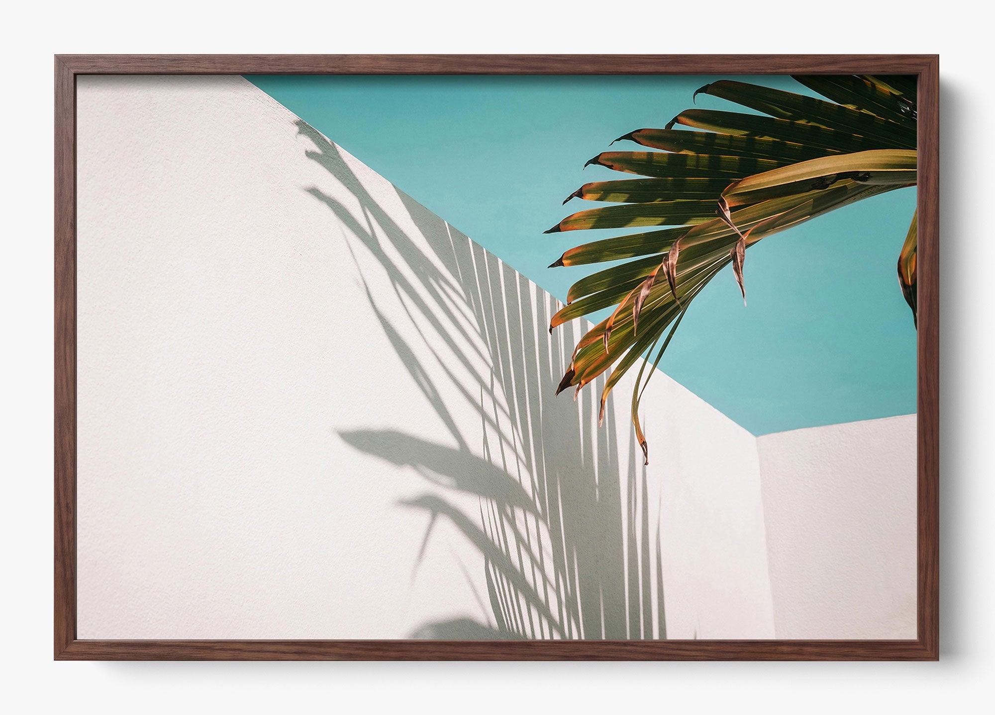 Summer Shadow