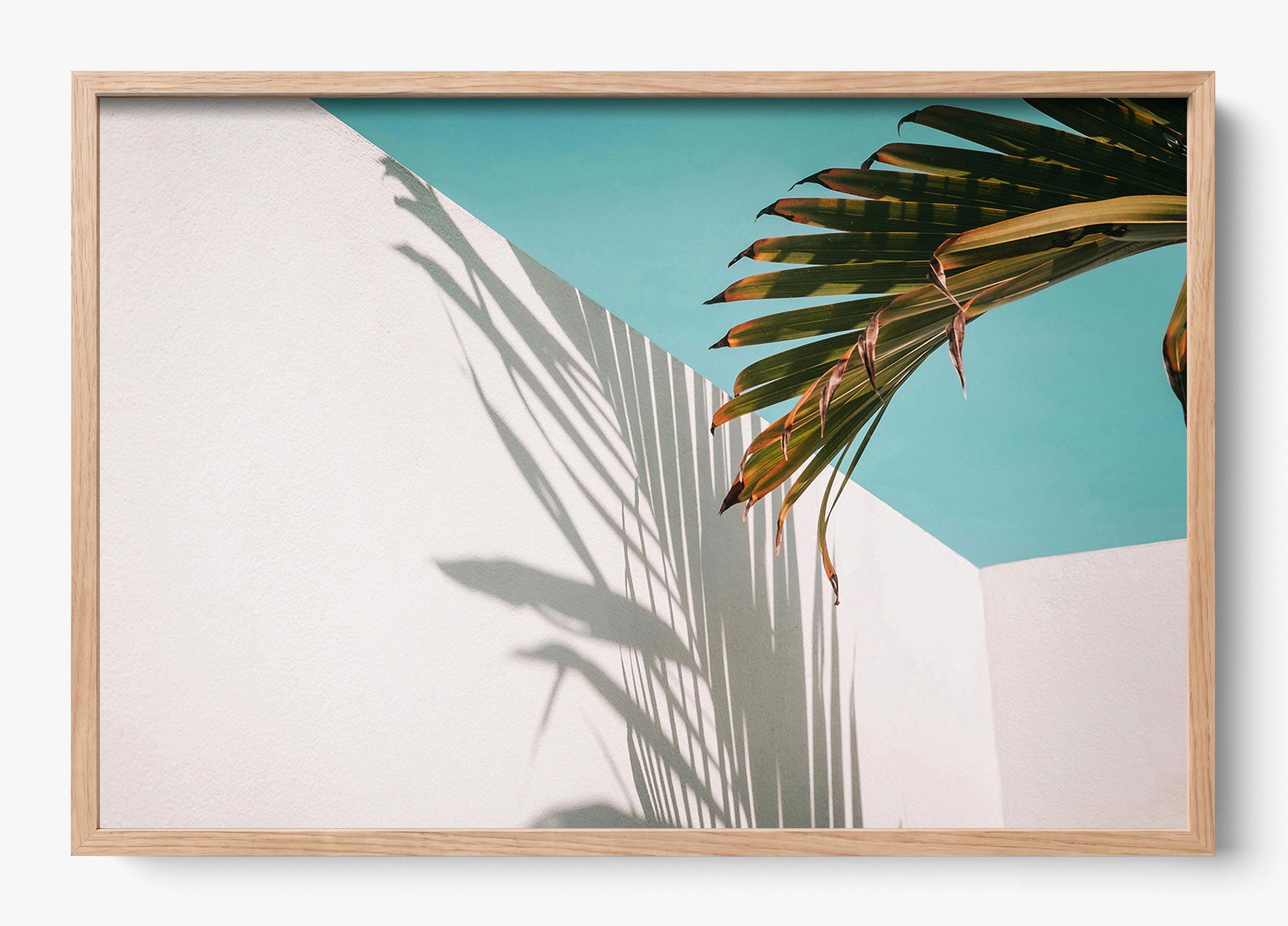 Summer Shadow