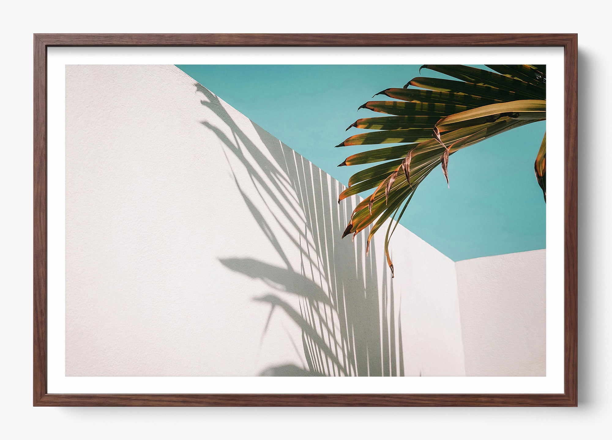 Summer Shadow