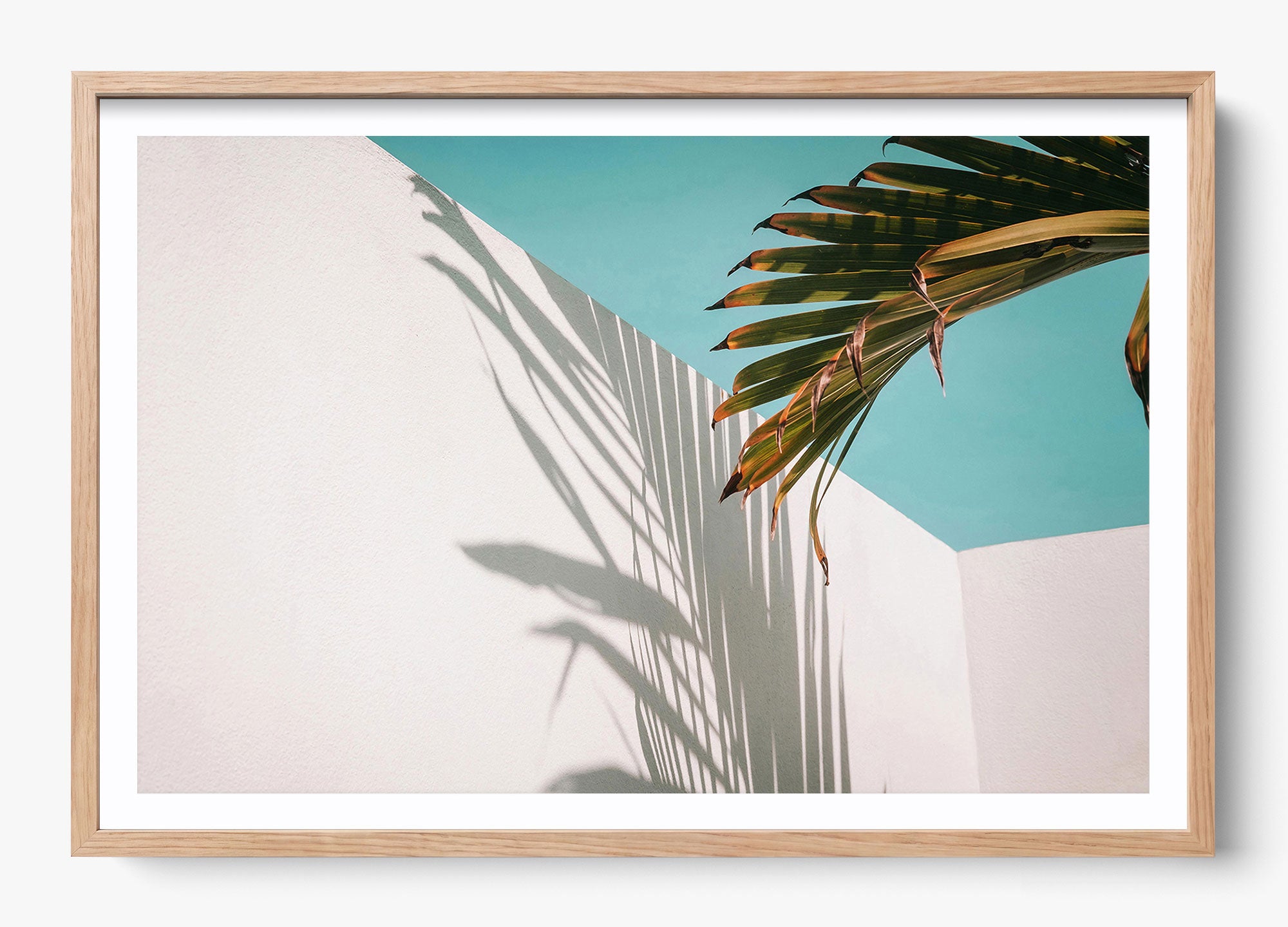 Summer Shadow