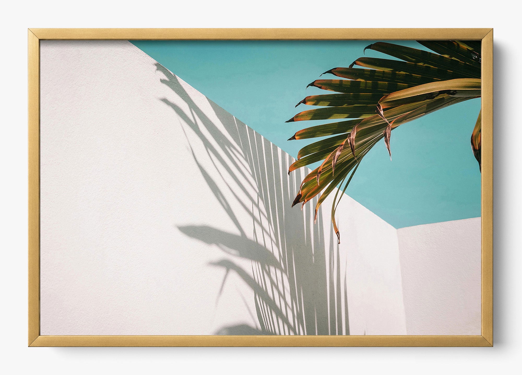 Summer Shadow