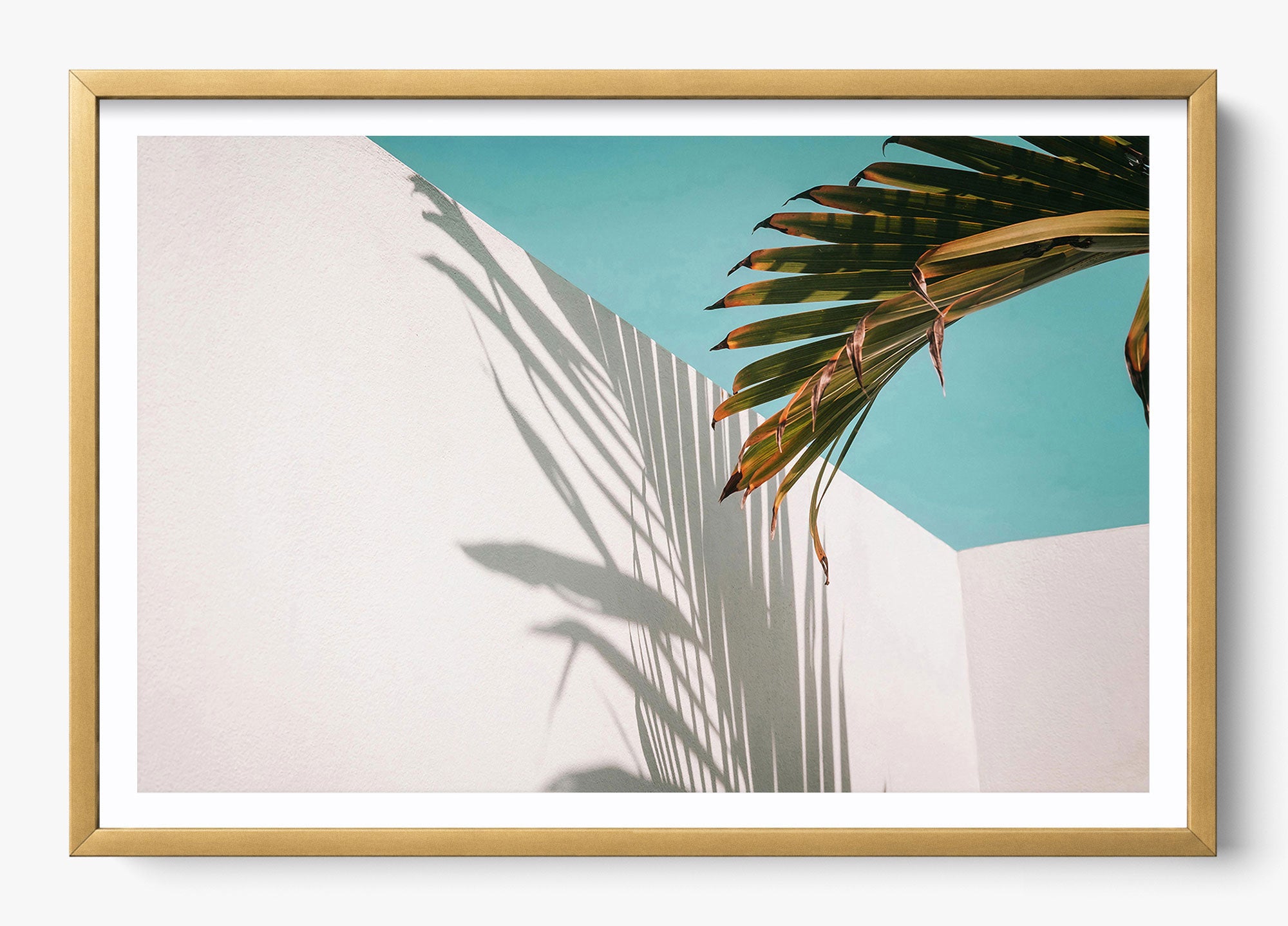 Summer Shadow