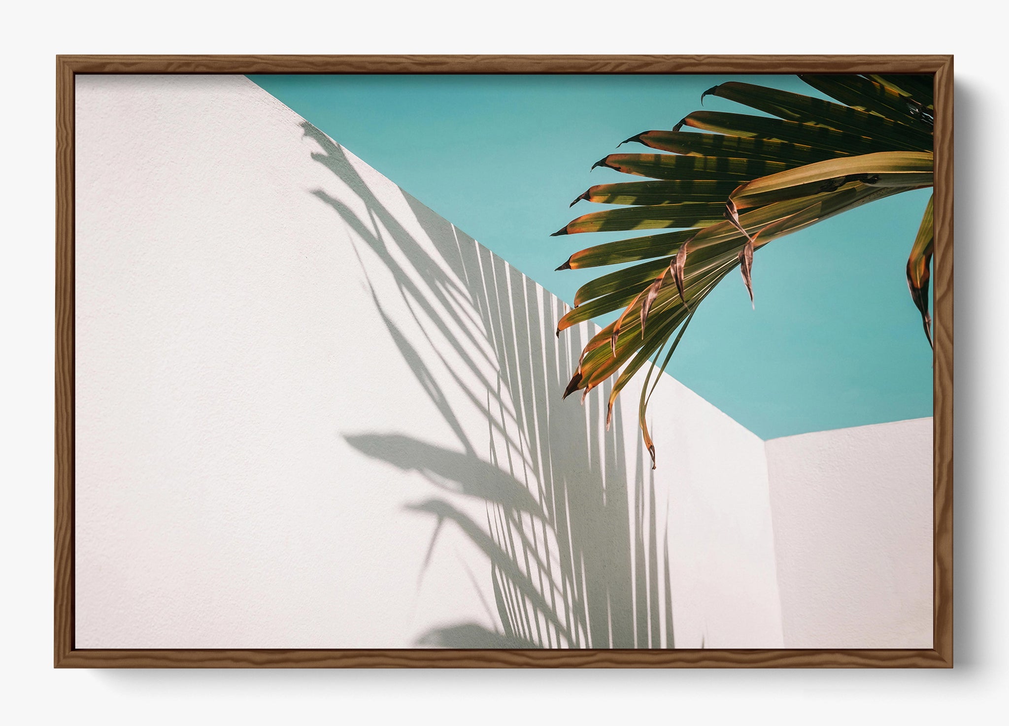 Summer Shadow