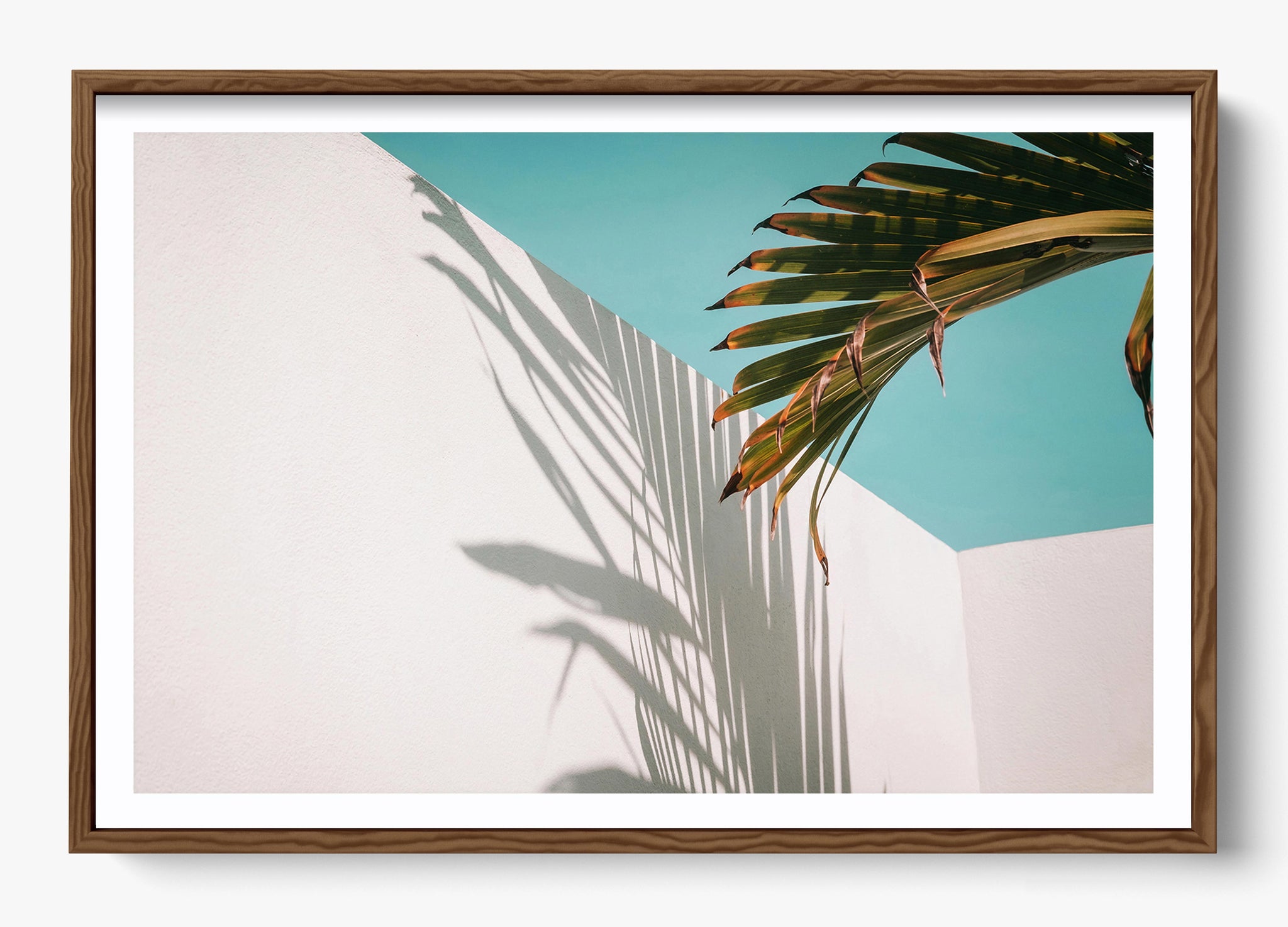 Summer Shadow