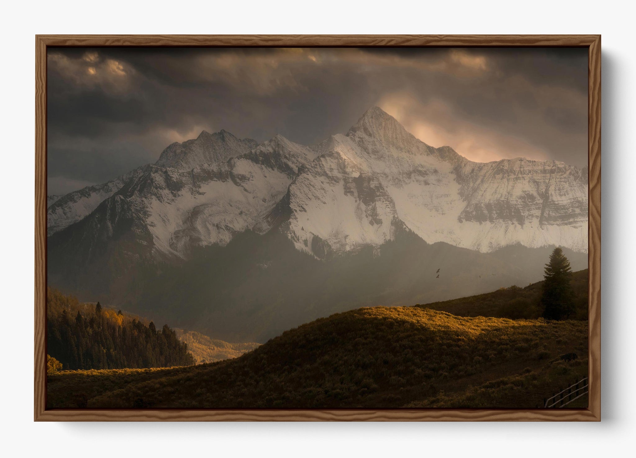 Telluride Dawn