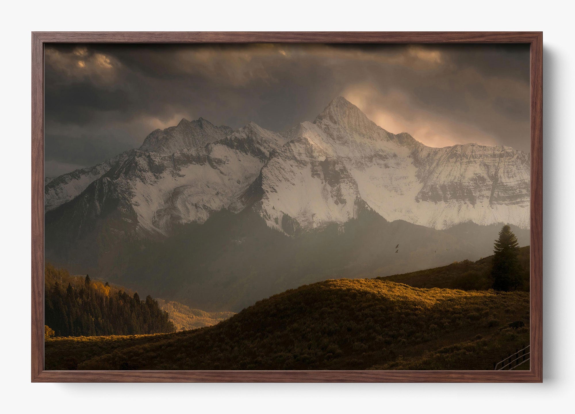Telluride Dawn