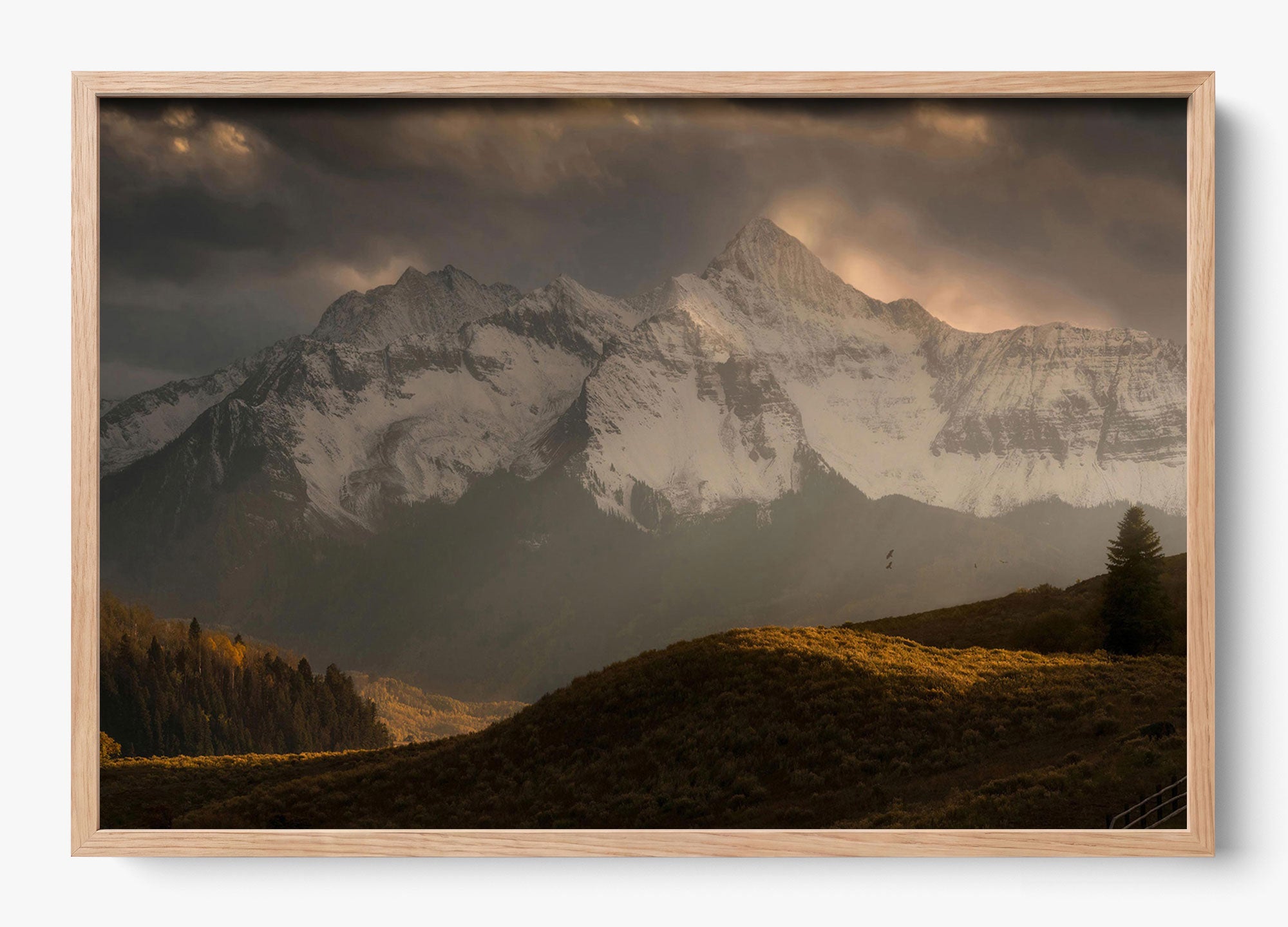 Telluride Dawn